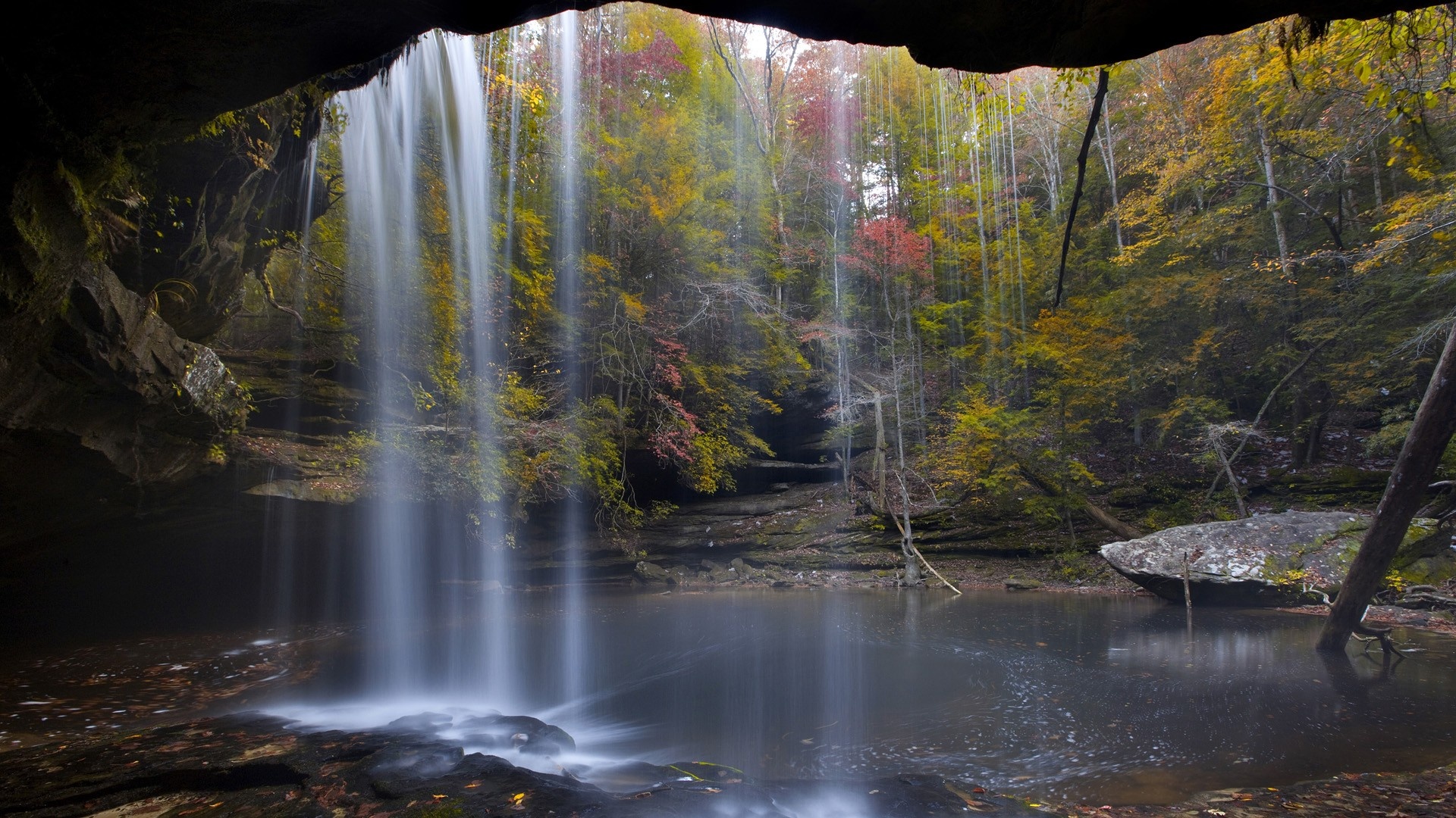 Landscapes nature forests national, Alabama wallpaper, natural beauty, Alabama travels, 1920x1080 Full HD Desktop