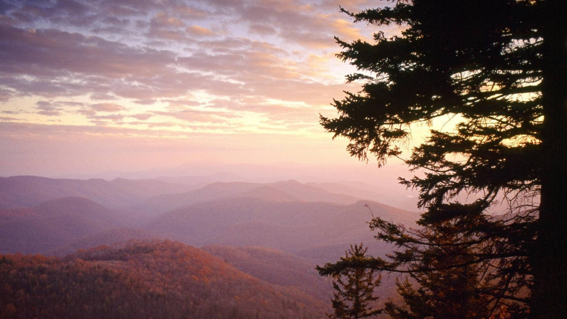 North Carolina mountains, High-quality wallpaper, Desktop mobile tablet, Stunning visuals, 1920x1080 Full HD Desktop