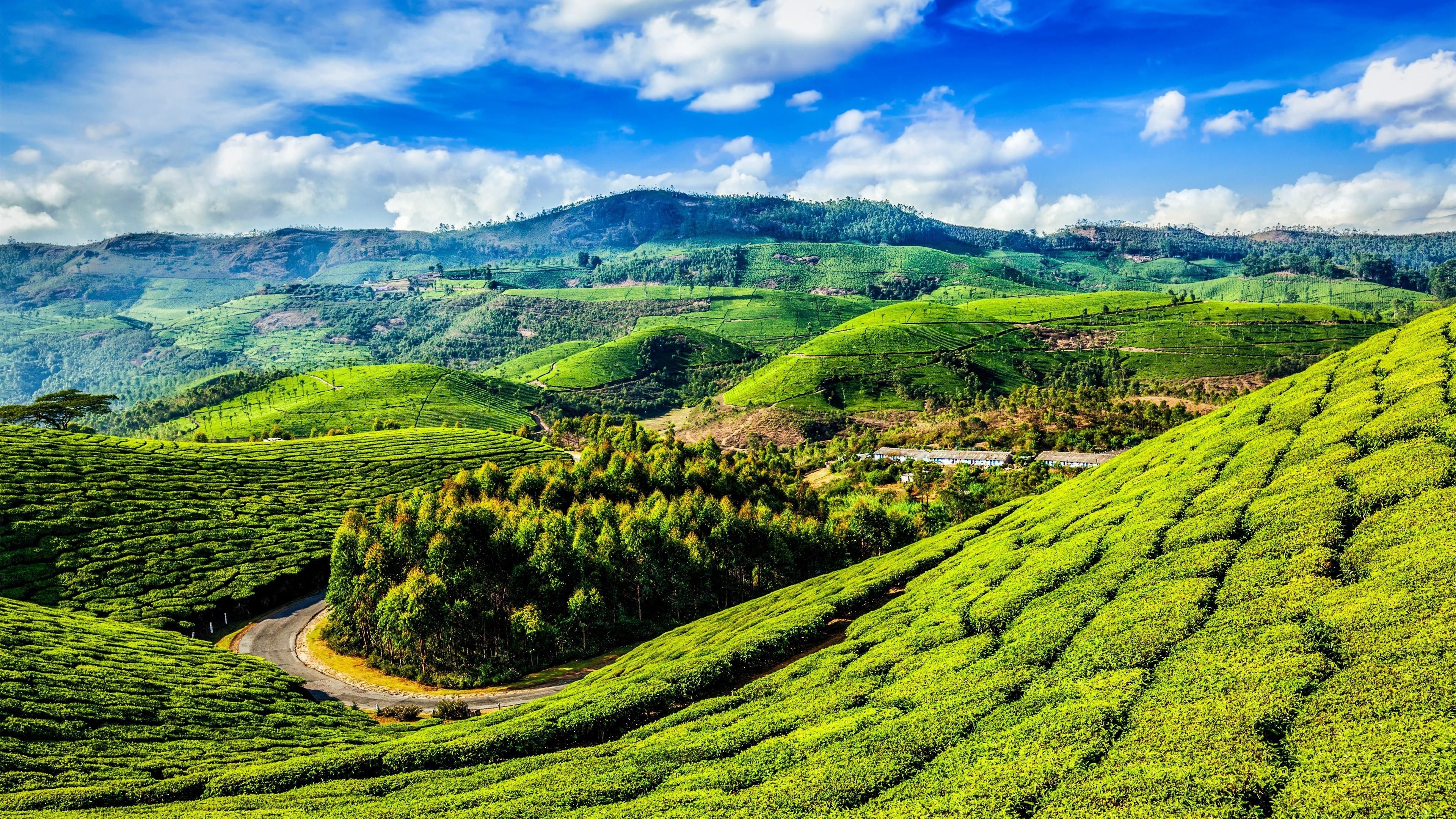 Kerala forests, Lush greenery, Biodiversity hotspot, Pristine wilderness, 3840x2160 4K Desktop