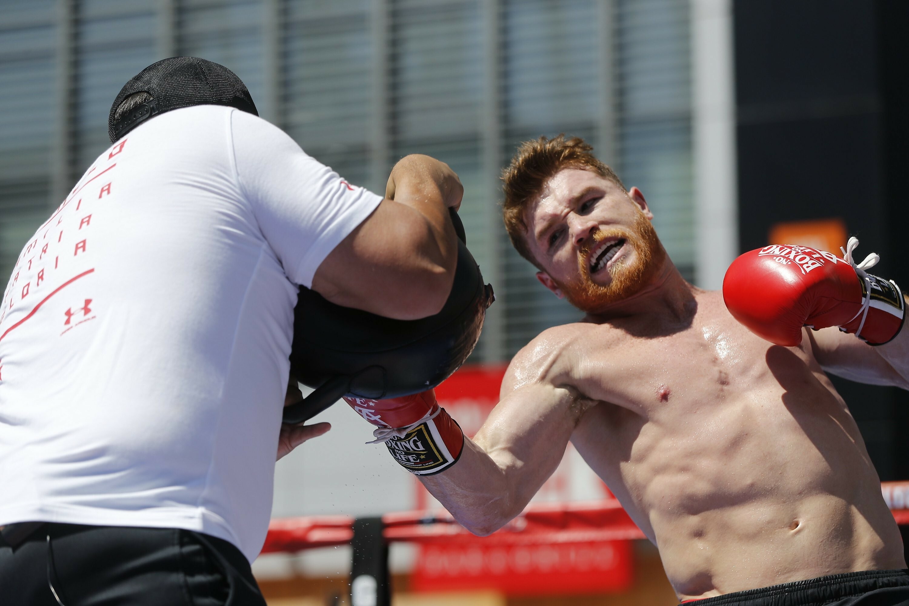 Saul Alvarez, Boxing superstar, Knockout power, Undisputed champion, 3000x2000 HD Desktop