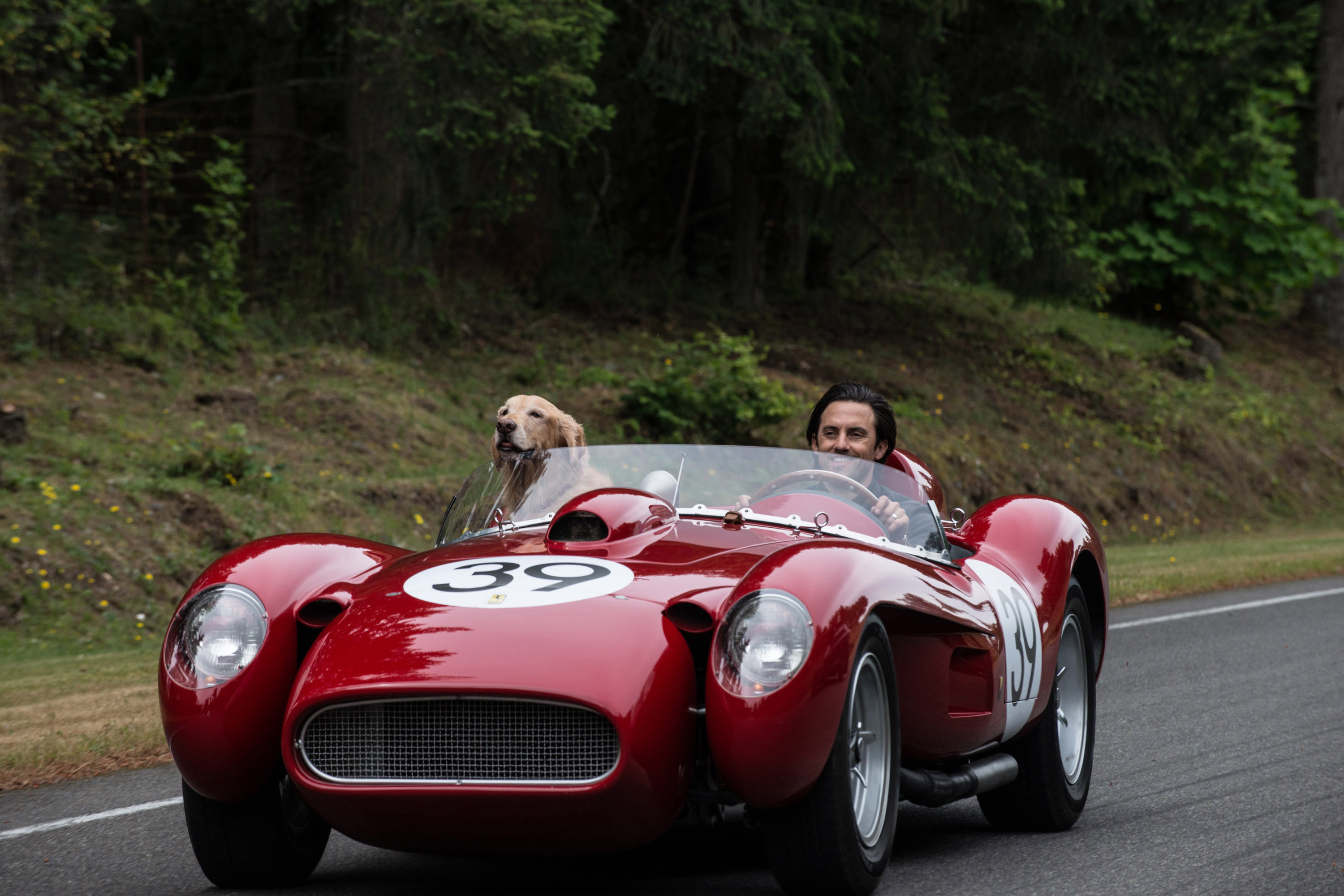 The Art of Racing in the Rain, Abingdon Cinemall, Supporting local cinema, Movie experience, 3000x2000 HD Desktop