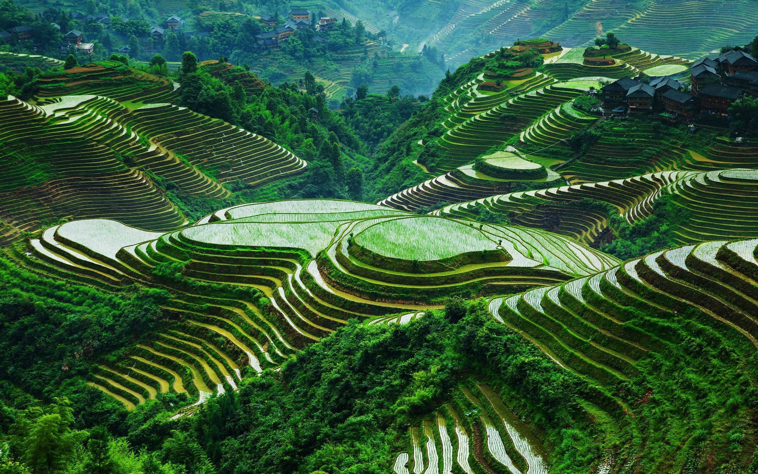 Banaue rice terraces wallpapers, Top free banaue rice terraces backgrounds, 2560x1600 HD Desktop