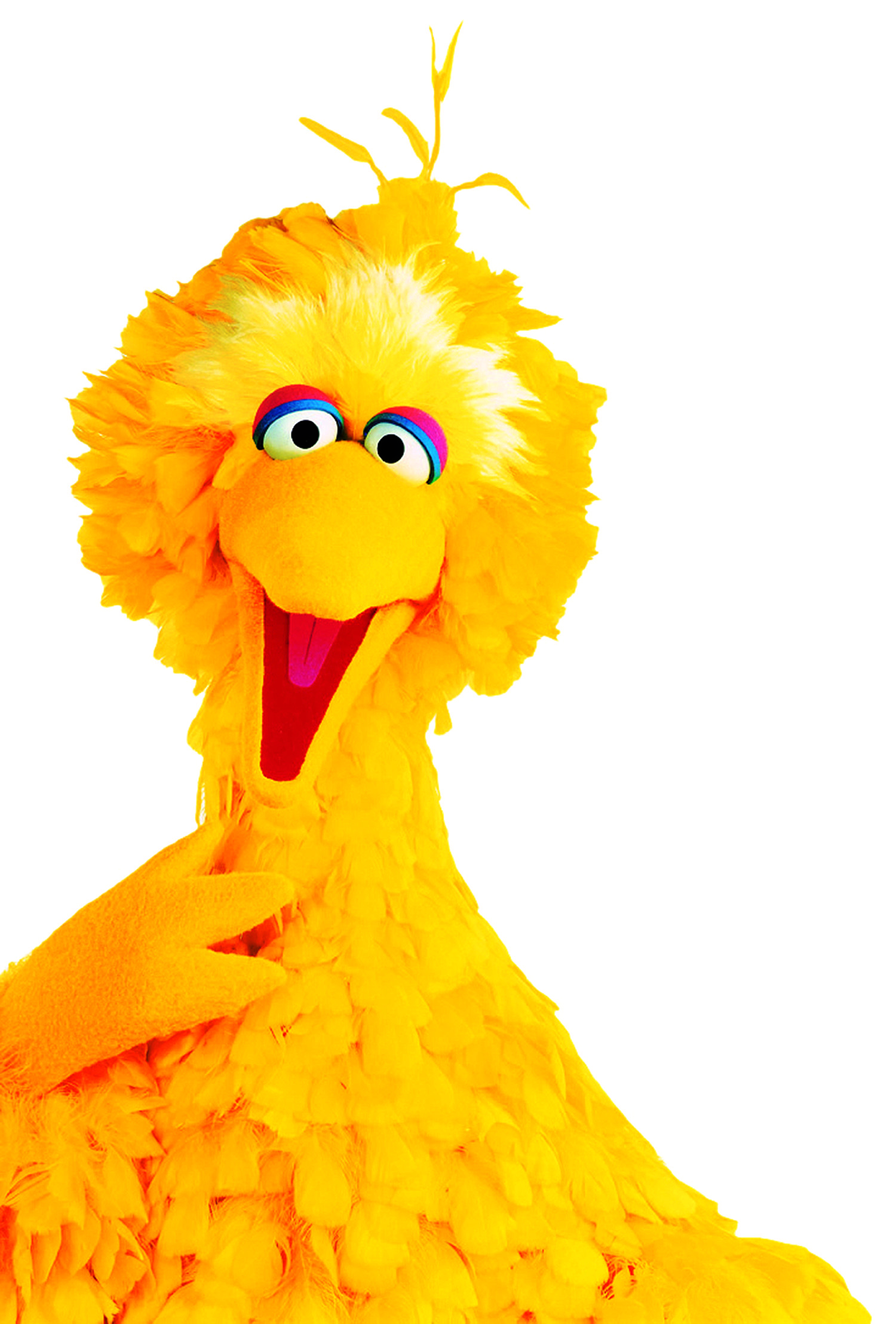 Sesame Street Animation, Big Bird character, Custom puppets, Iconic Sesame Street presence, 1500x2220 HD Phone