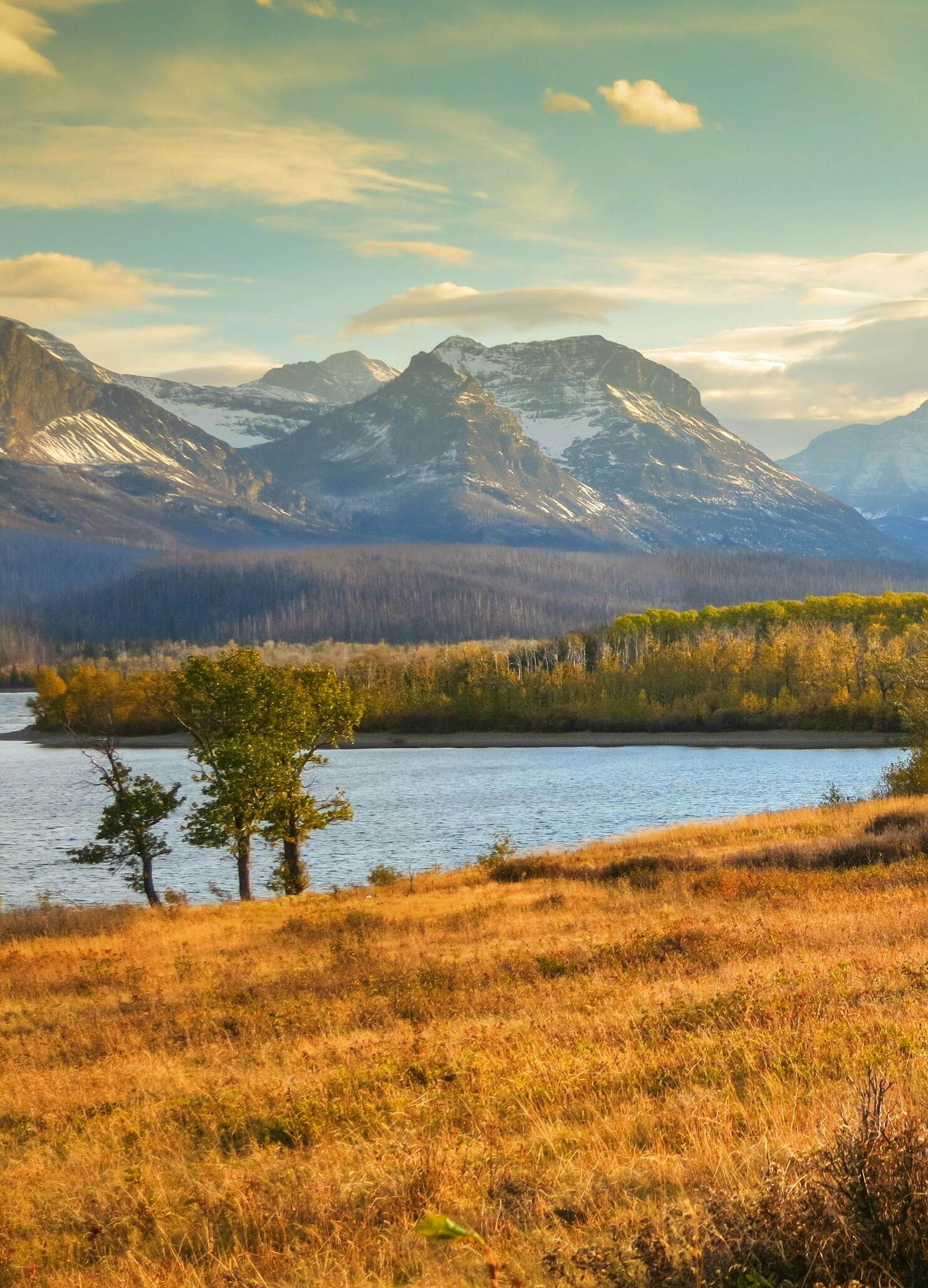 Outdoor paradise, Wildlife encounters, Glacier exploration, 1490x2060 HD Phone