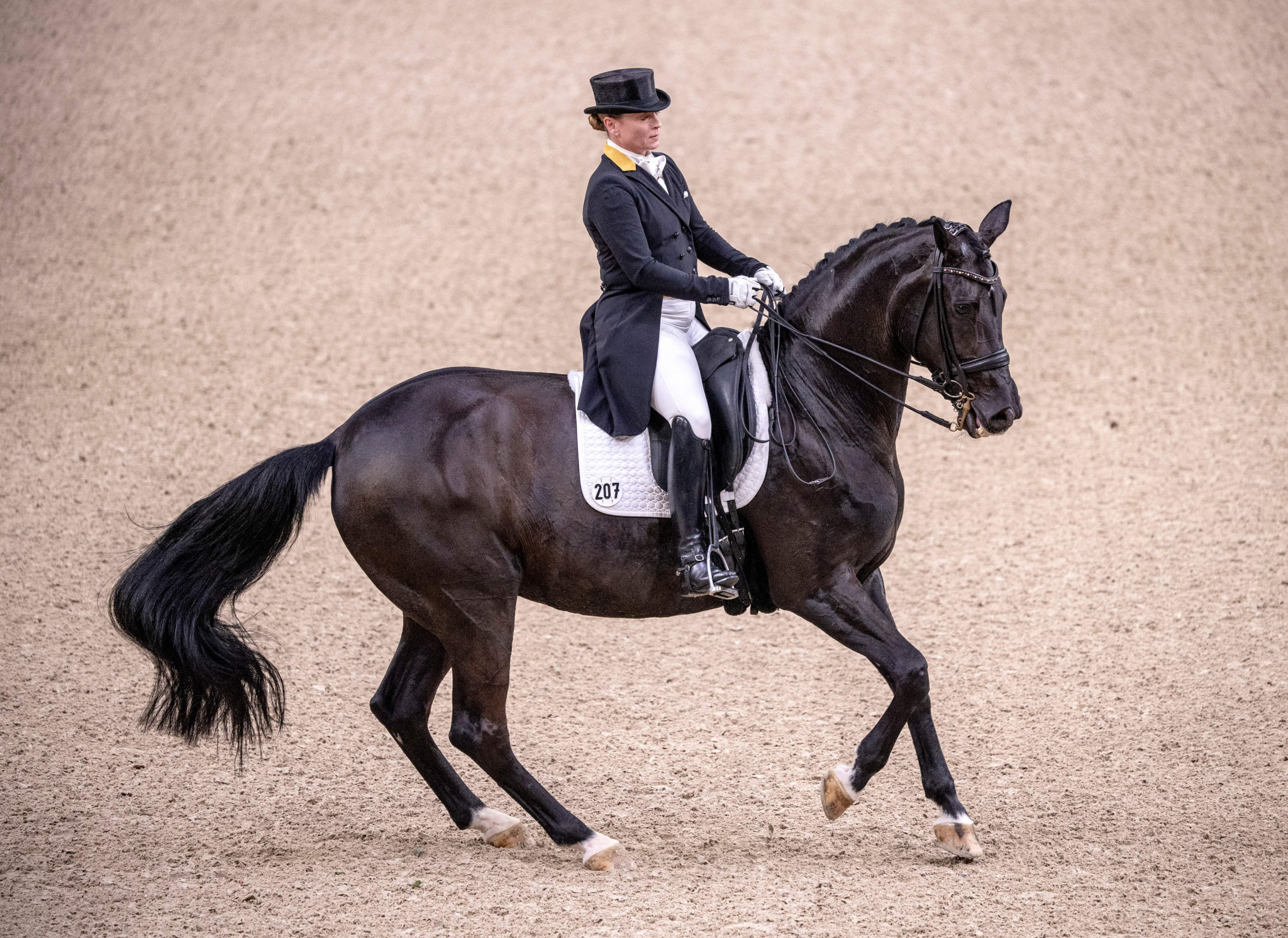 Dressage sports, Dressage world cup, Werth wins, Salzburg competition, 2050x1500 HD Desktop