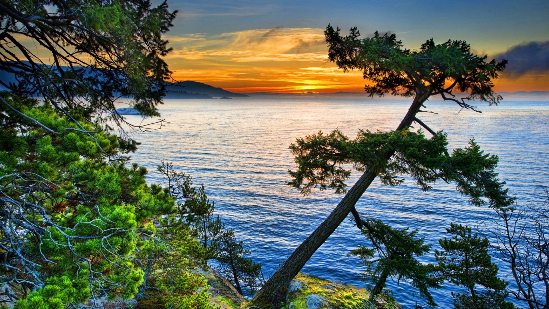 Lake Baikal, Pine Trees Wallpaper, 1920x1080 Full HD Desktop