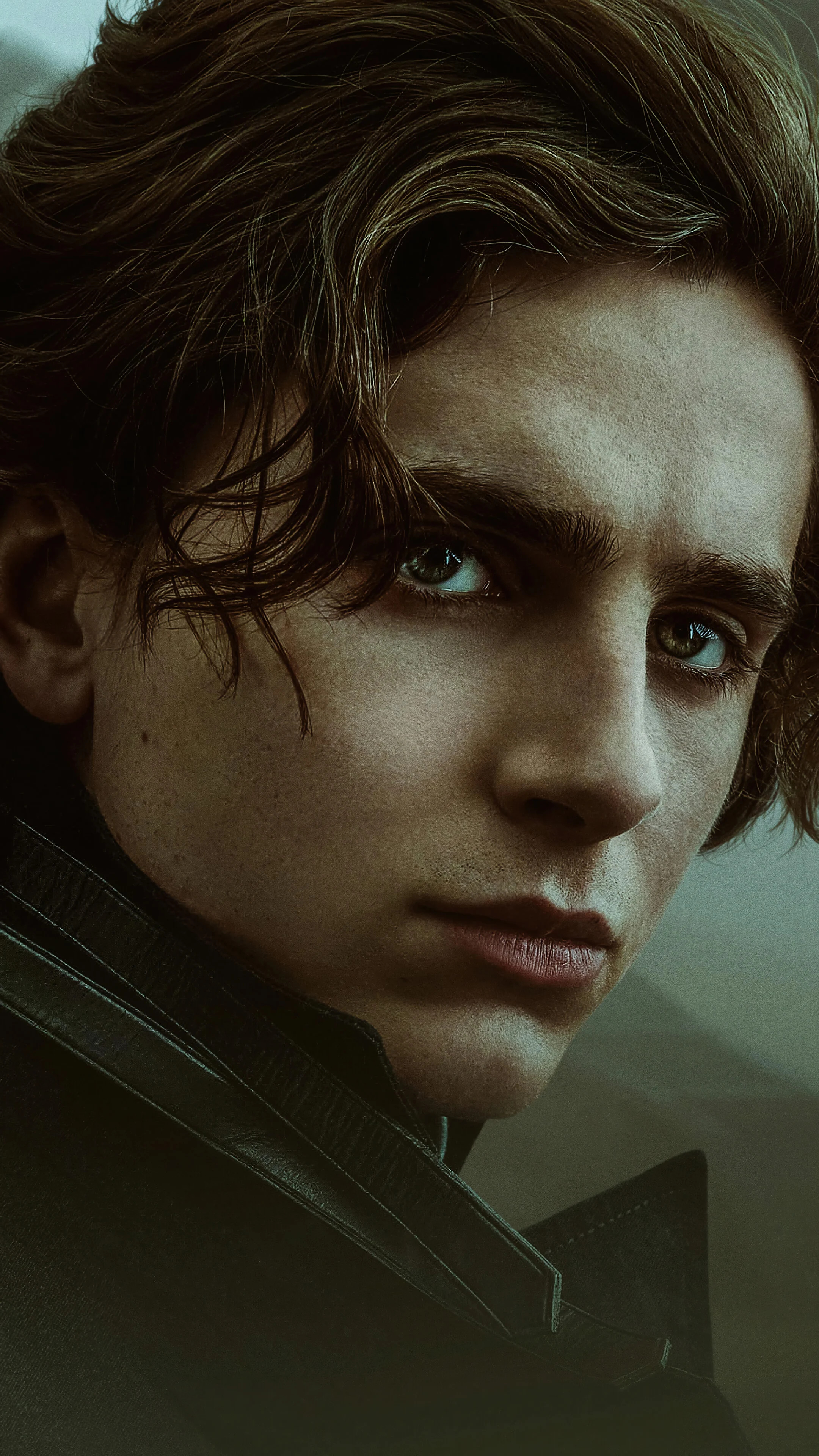 Timothee Chalamet, Dune wallpapers, 2160x3840 4K Phone