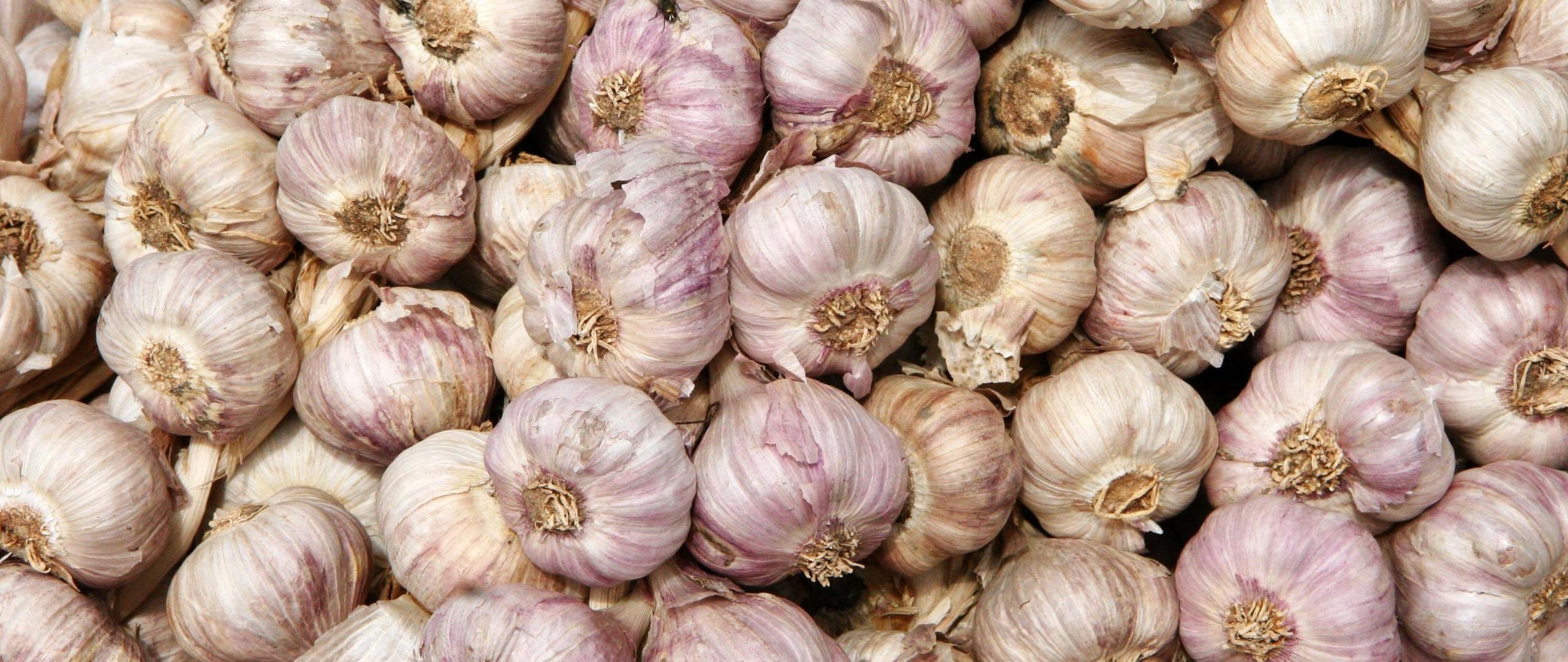 Stunning garlic wallpapers, Aromatic herb, Culinary ingredient, Food photography, 2560x1080 Dual Screen Desktop