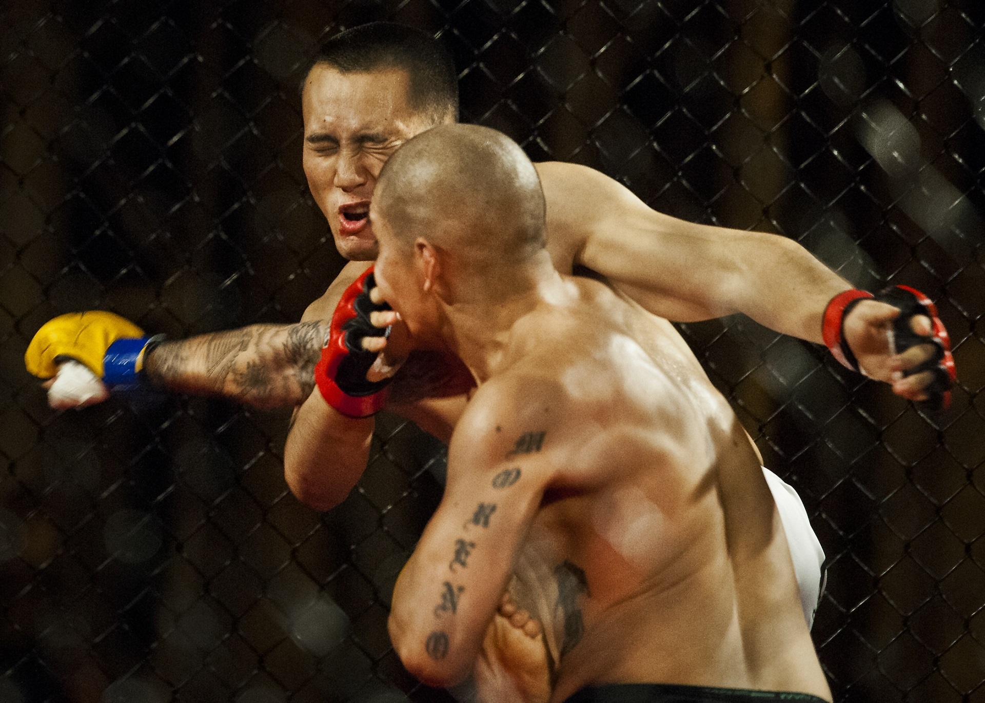 Isaac Moreno vs Henry Liu, Combat Sports Wallpaper, 1920x1380 HD Desktop