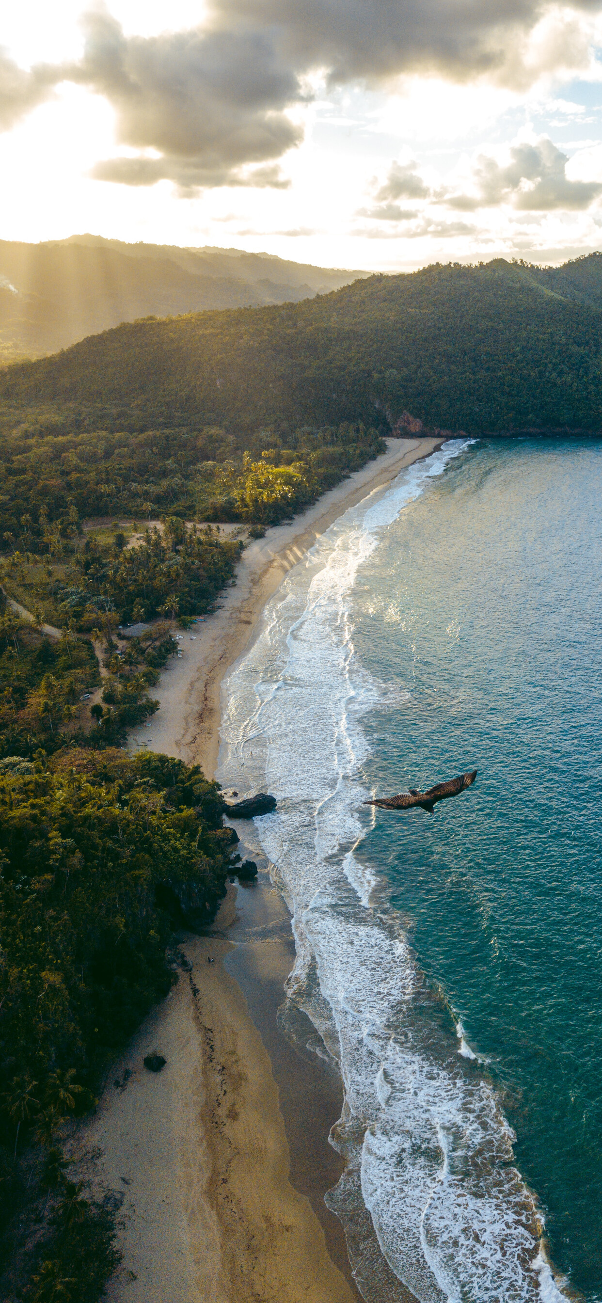 Playa El Valle, Dominican Republic Wallpaper, 1250x2690 HD Phone