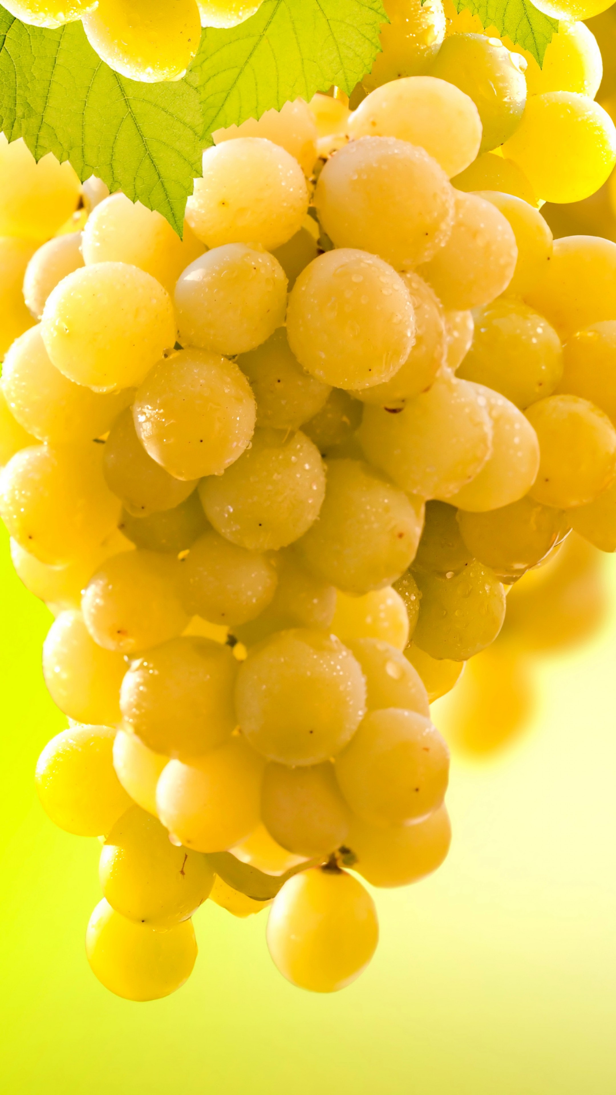 5K grape wallpaper, Food photography, Deliciousness captured, 2160x3840 4K Phone