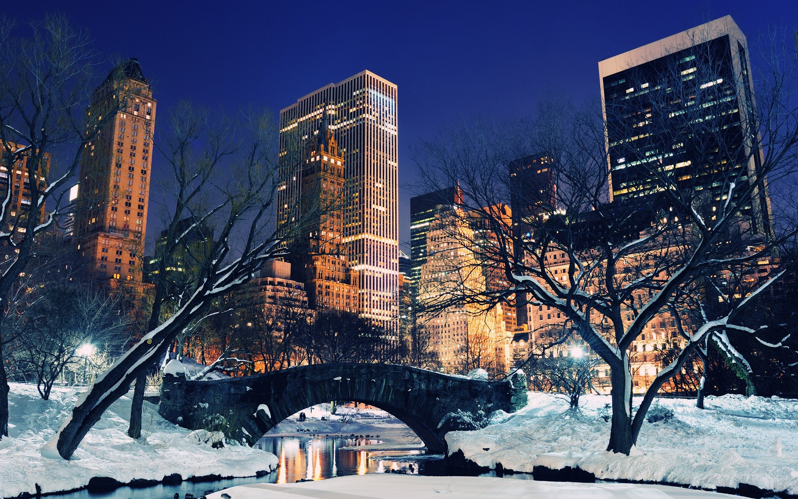 Central Park, Snow at night, Wallpapers, 2560x1600 HD Desktop