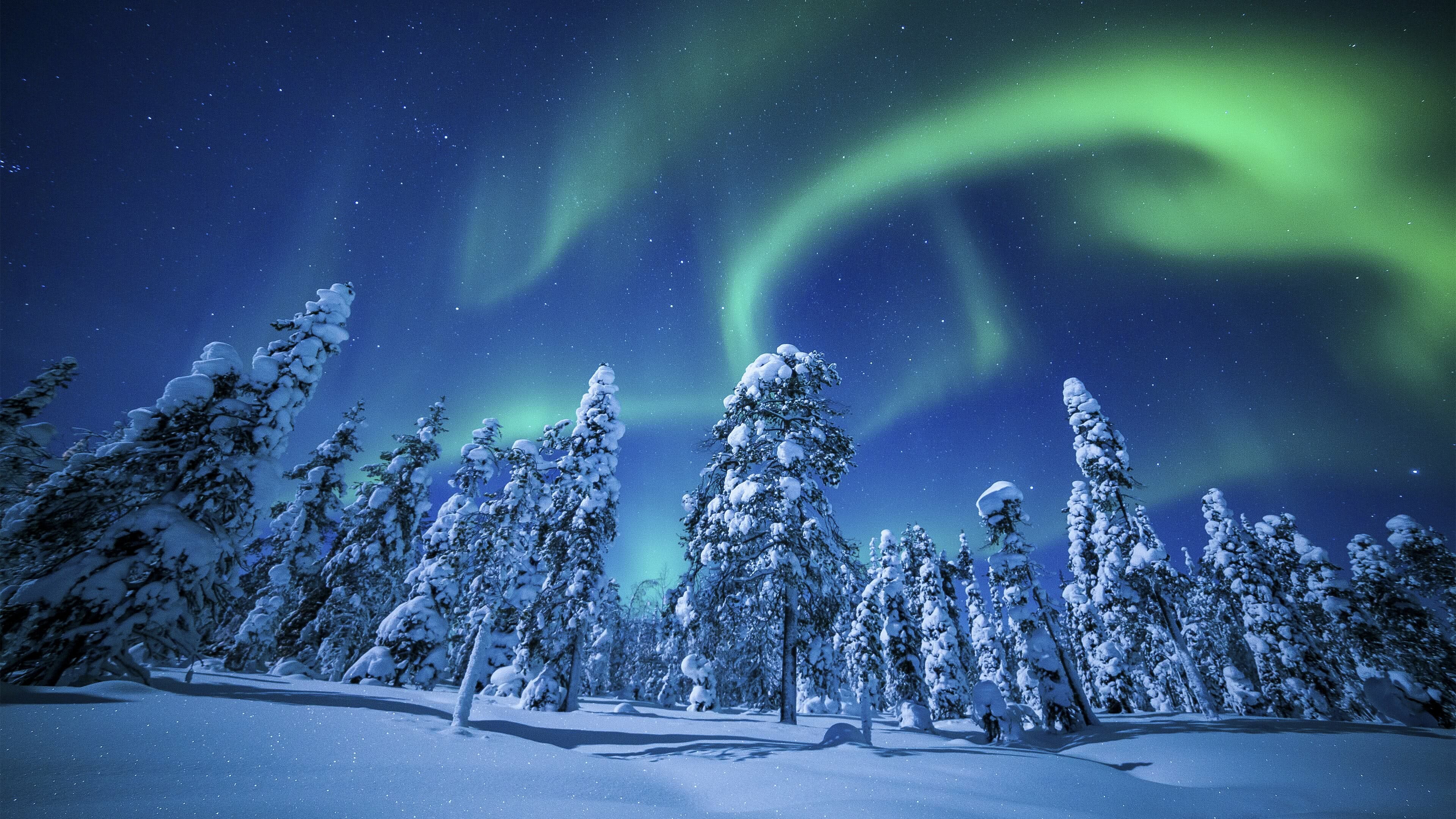 Winter forest, Aurora Borealis Wallpaper, 3840x2160 4K Desktop
