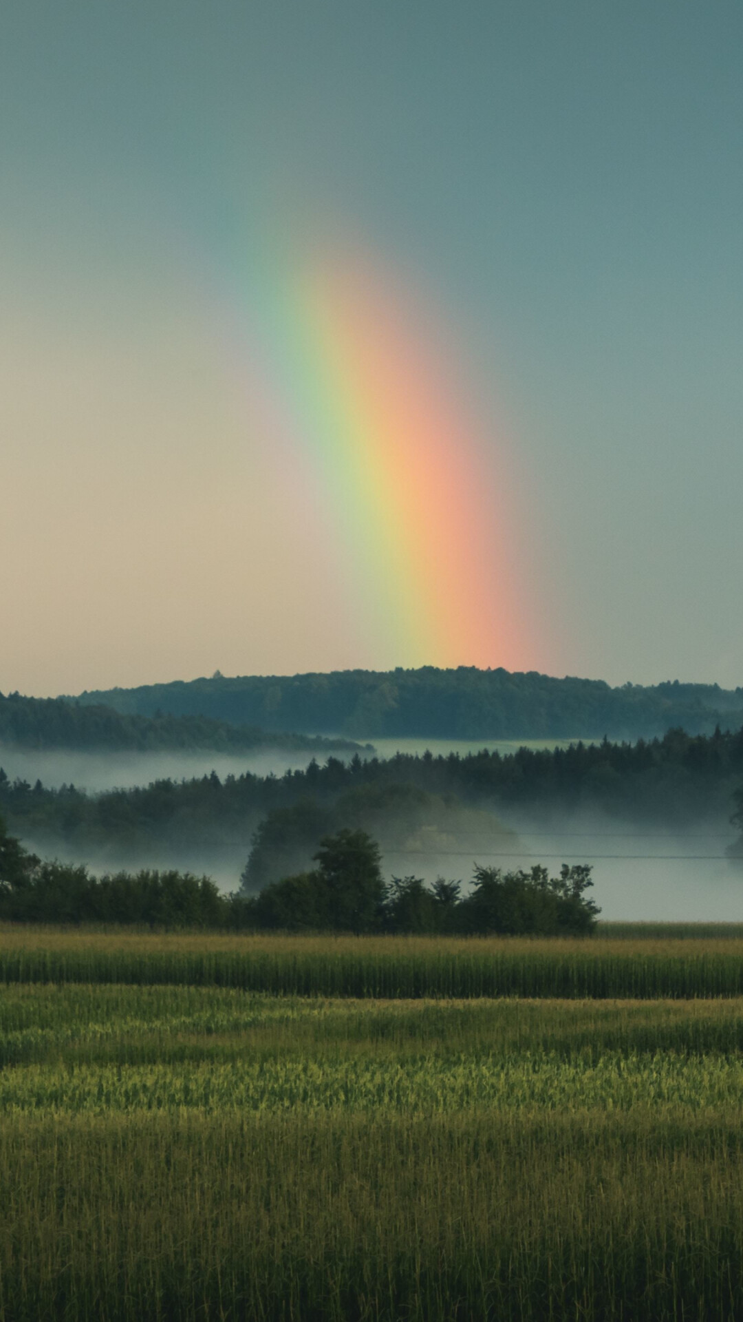 Grassland sky rainbow, 4K, JPG, 1080x1920 Full HD Phone