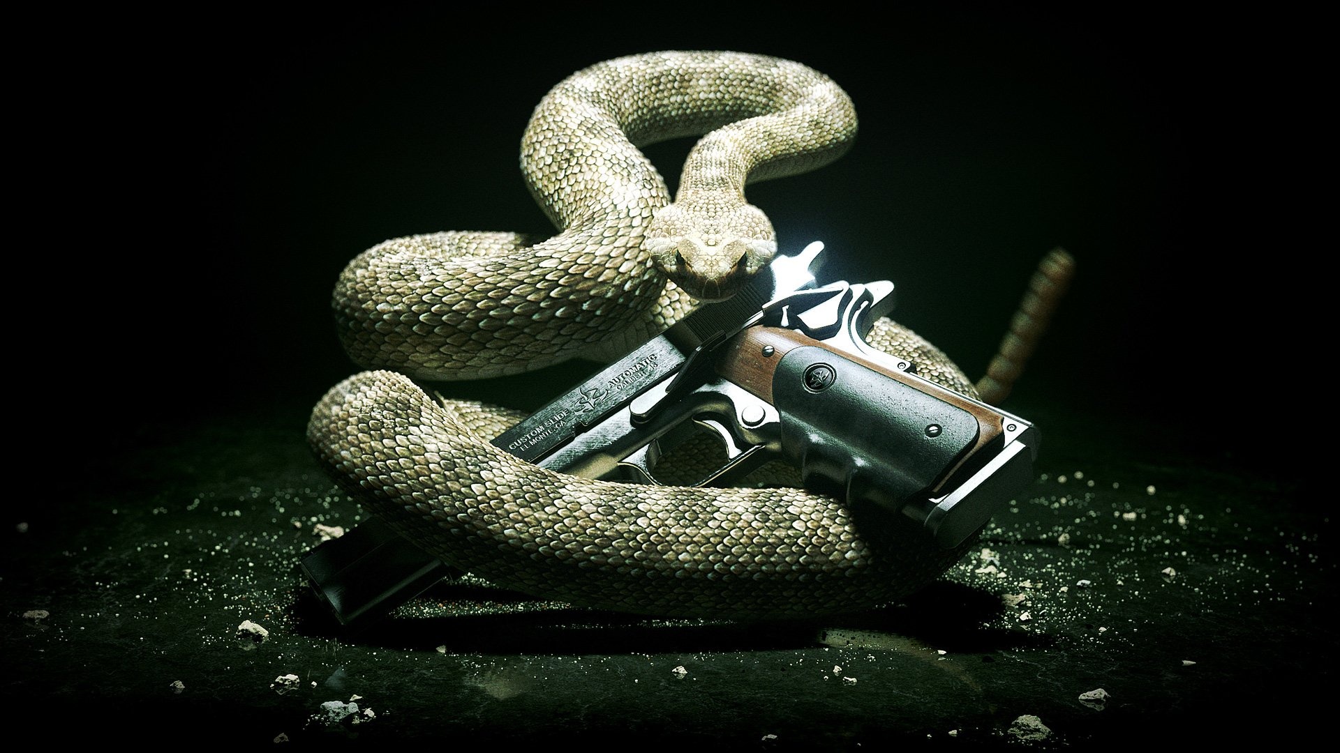 Snake, Hitman: Absolution Wallpaper, 1920x1080 Full HD Desktop