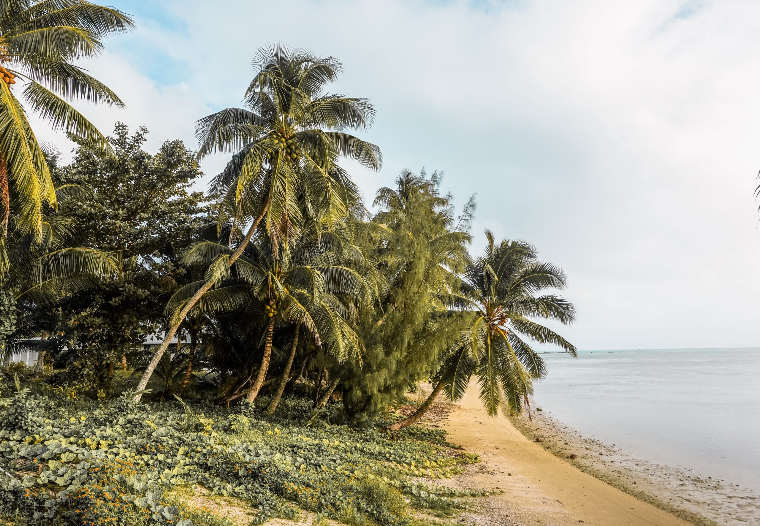 Essential guide, Aitutaki, Cook Islands, Plantiful Travels, 2560x1780 HD Desktop