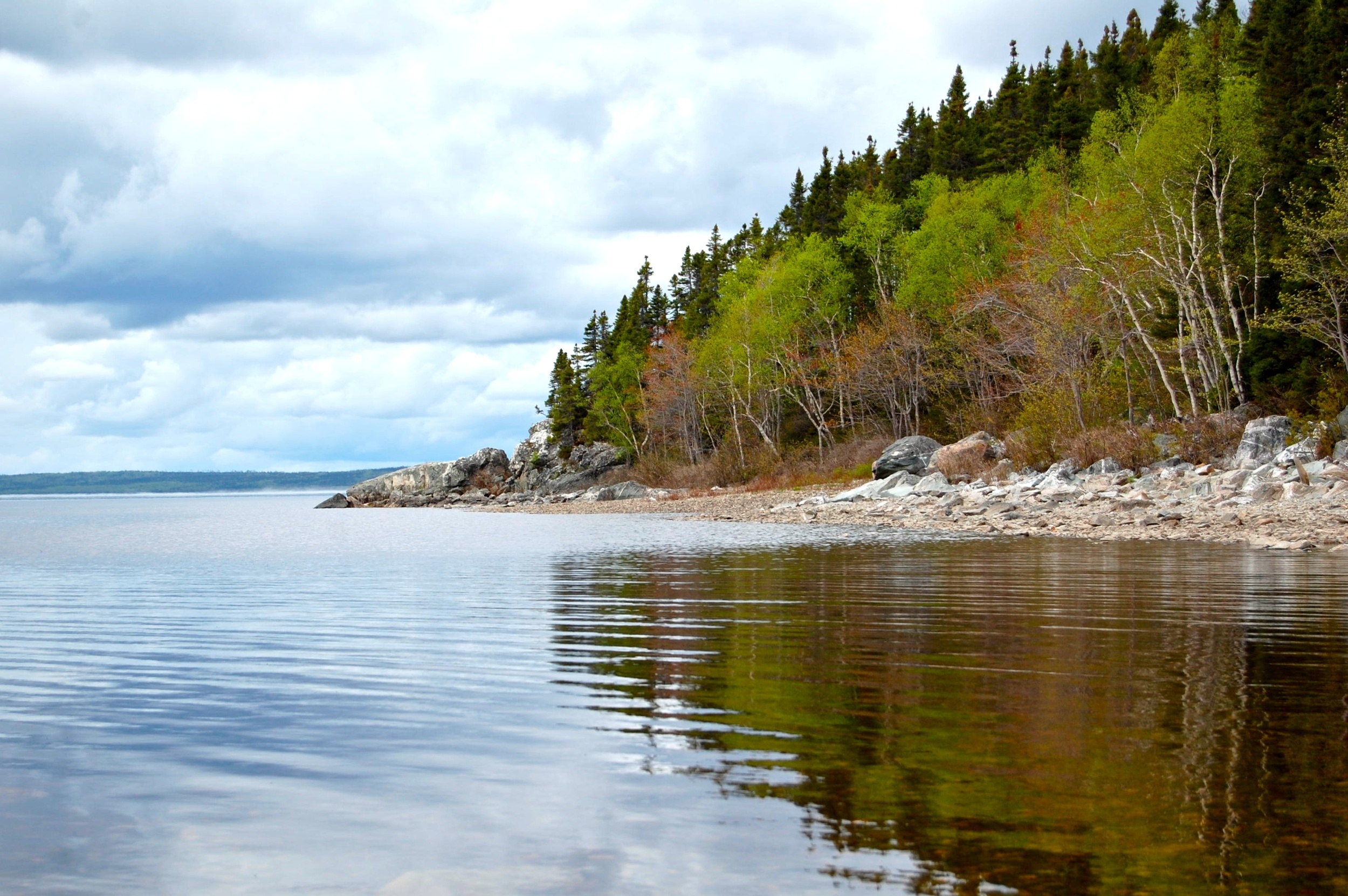 Terra Nova National Park, Gander, Newfoundland and Labrador, Rover, 2500x1670 HD Desktop