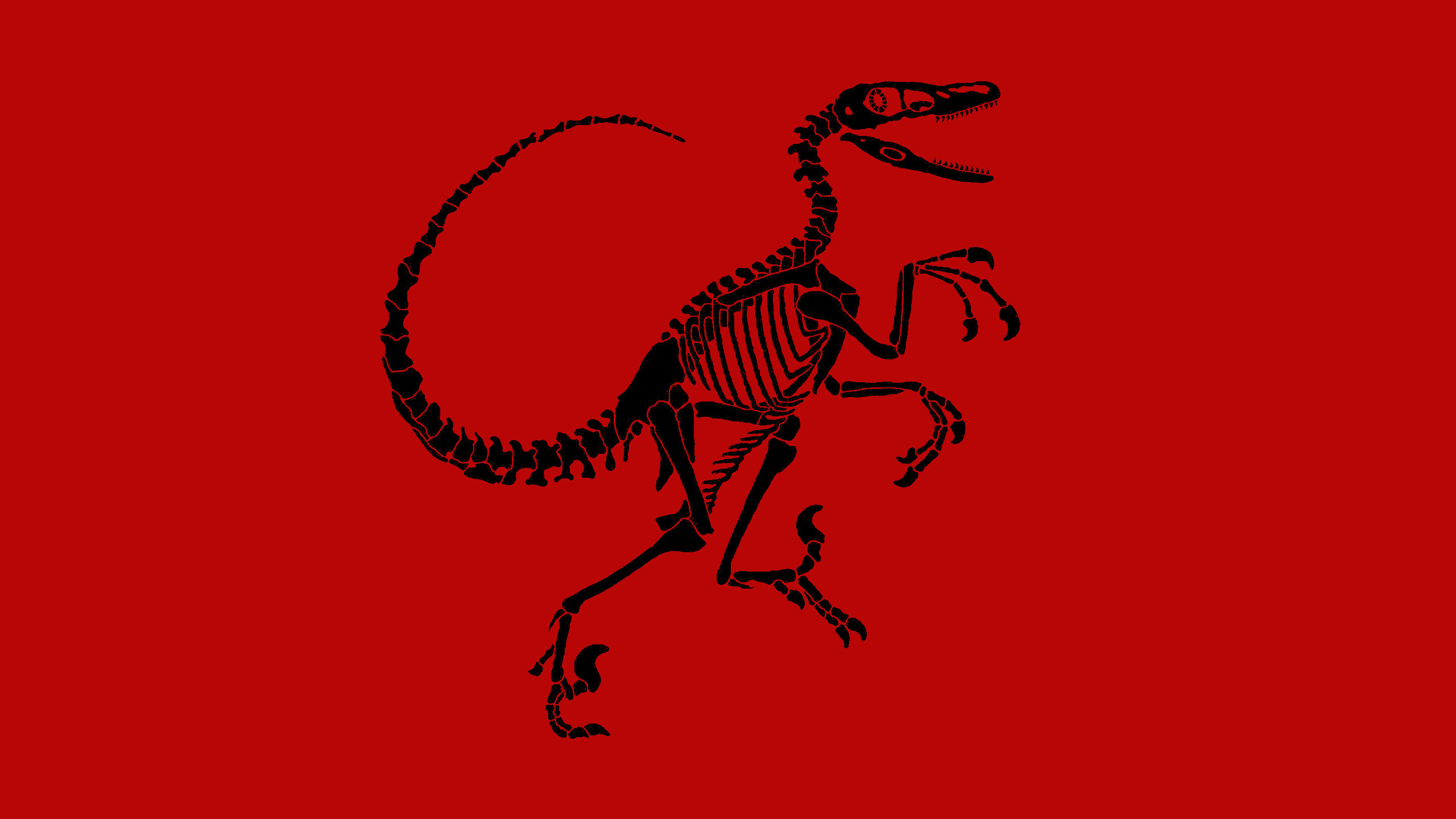 Velociraptor wallpapers, Stunning visuals, Mesmerizing designs, High-quality images, 2560x1440 HD Desktop