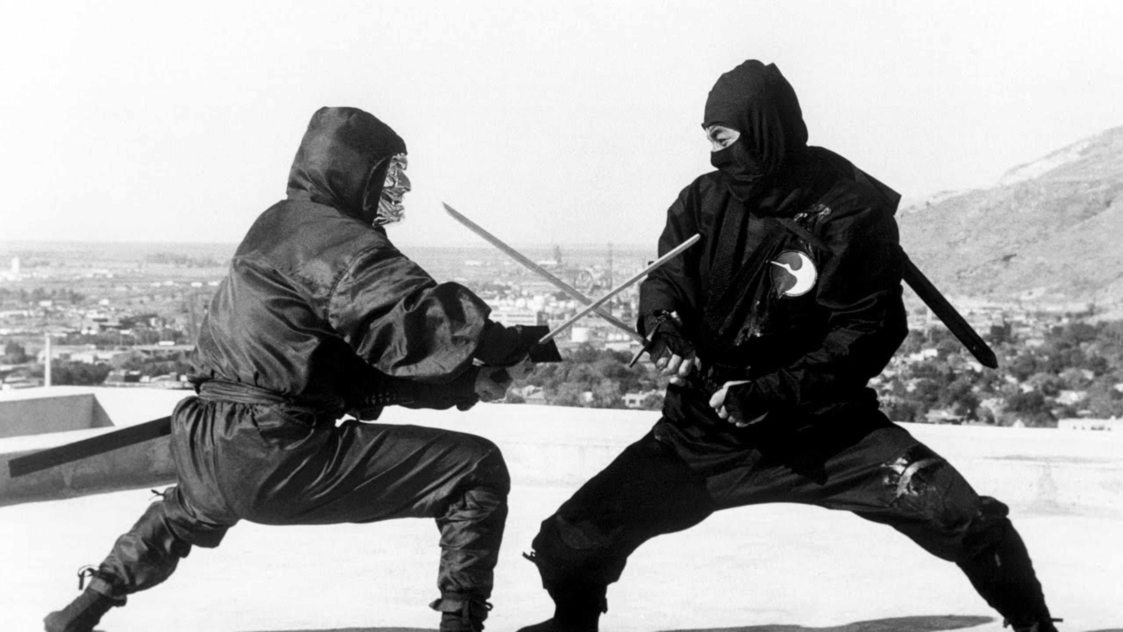 Ninjutsu, Combat Sports Wallpaper, 3840x2160 4K Desktop