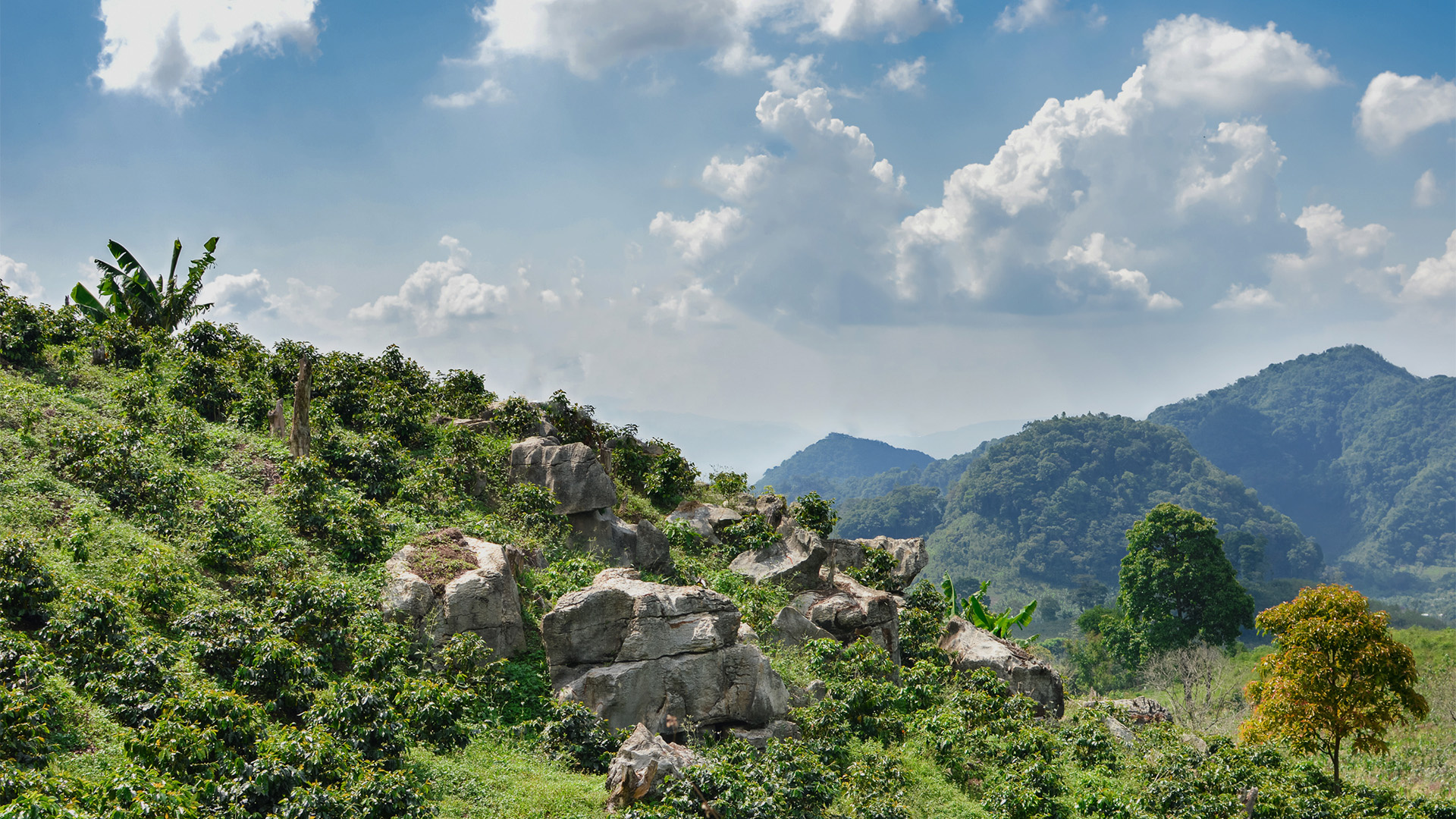 Honduras, Scatec, 1920x1080 Full HD Desktop