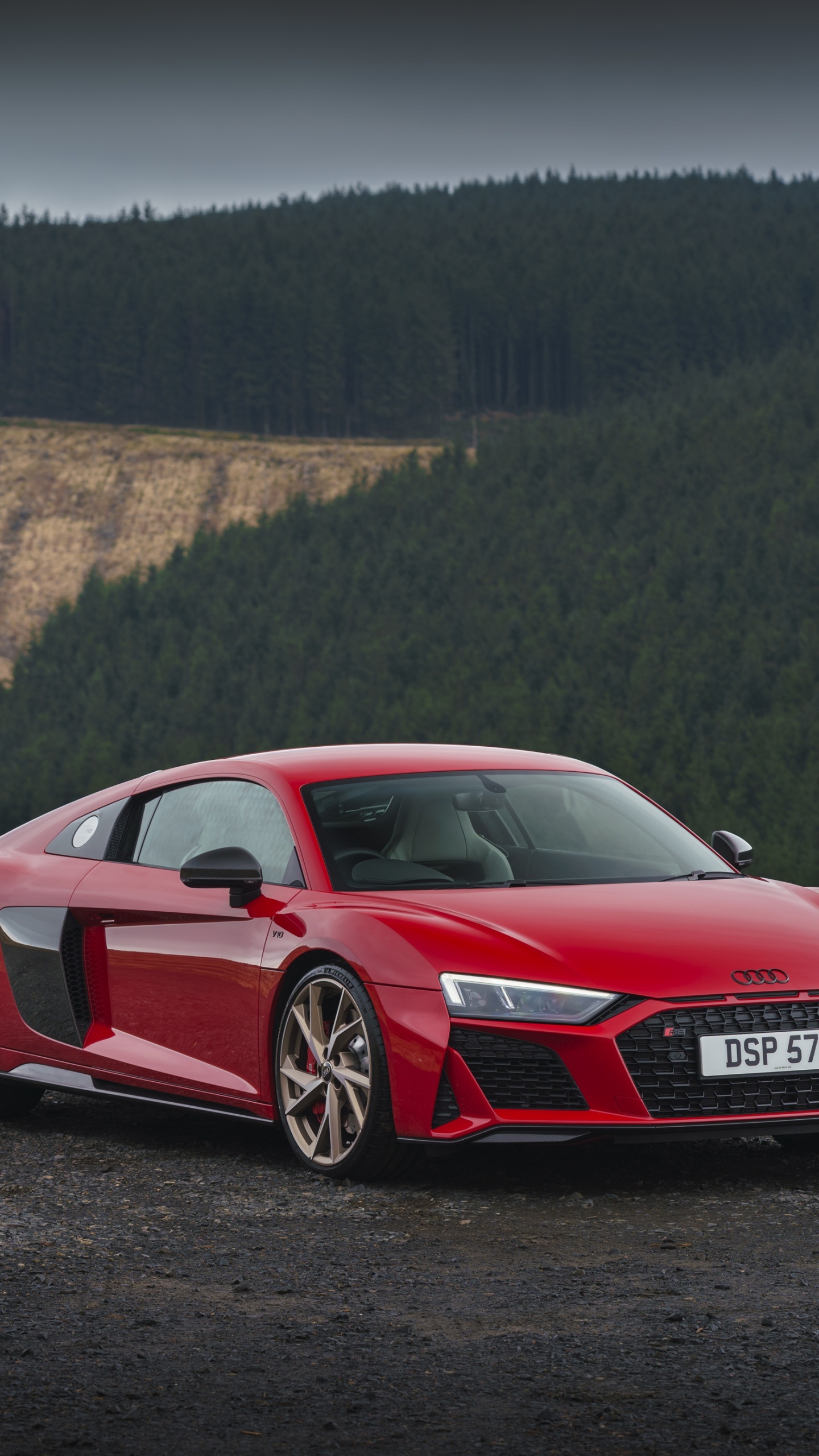 Audi R8 V10 Coupe, pine forest hillside, gravel roadside, HD Phone wallpaper