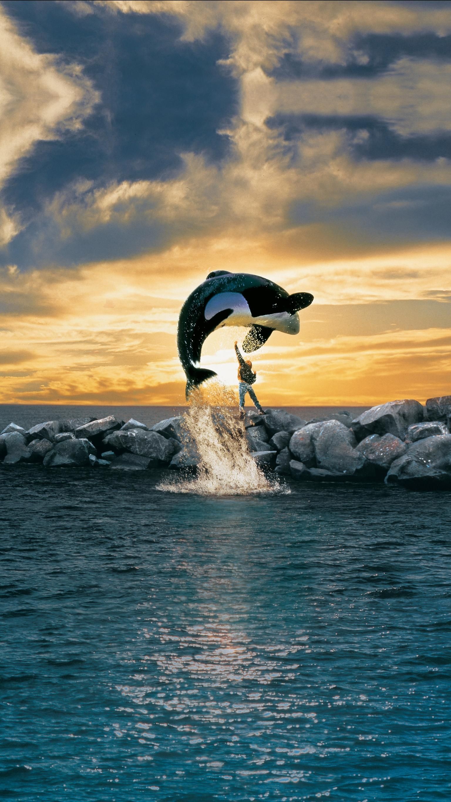 Free Willy movie, Pin, Movie, 1540x2740 HD Phone