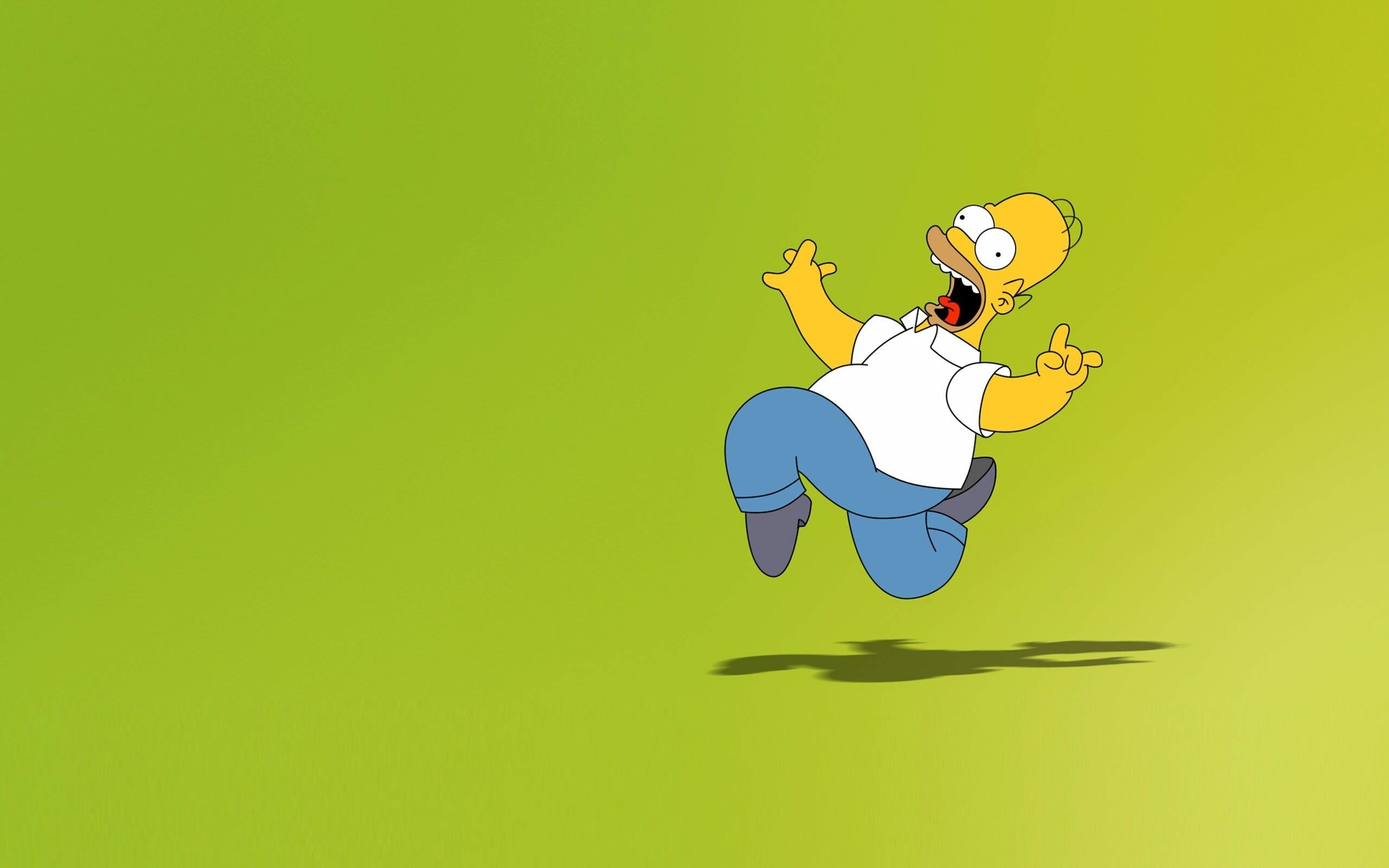 Simpsons Wallpaper, Homer Simpson, Homer, Animation, 2560x1600 HD Desktop