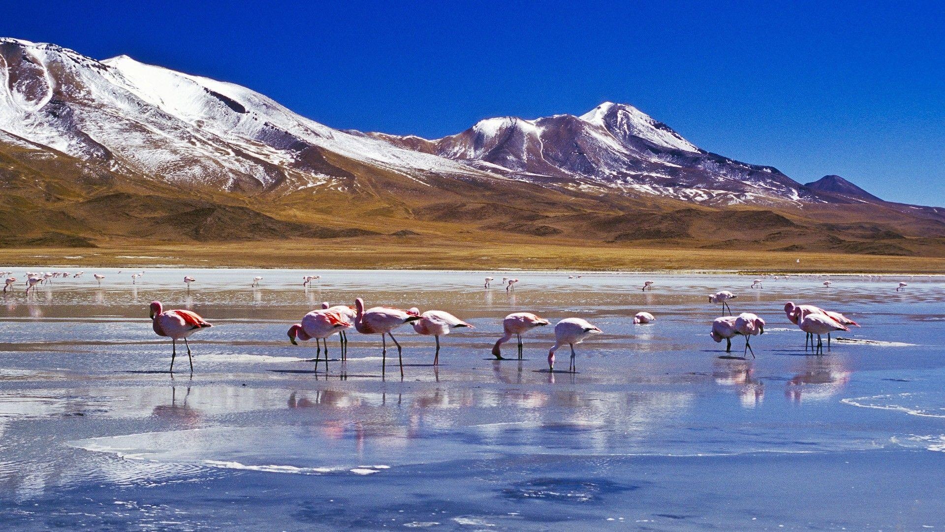 Bolivia, Top free backgrounds, 1920x1080 Full HD Desktop