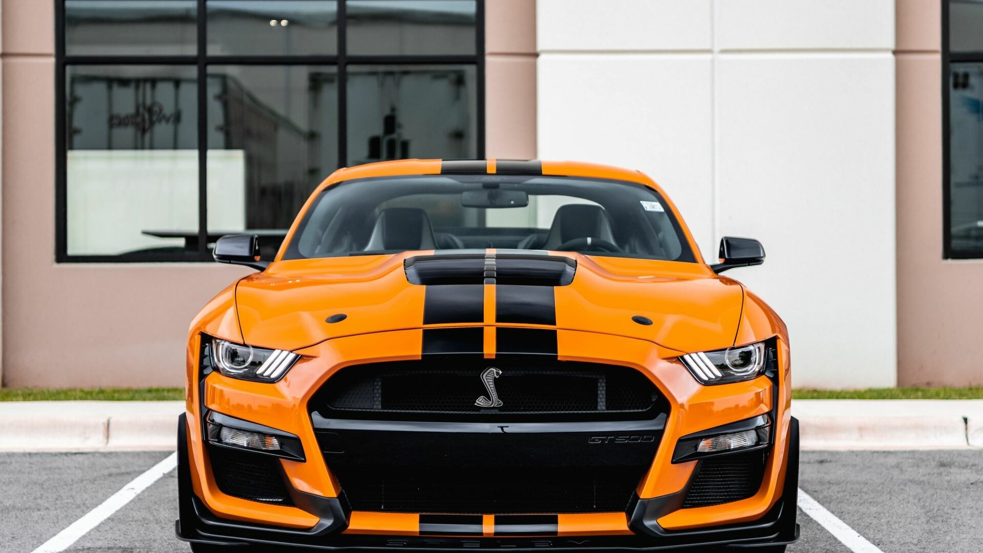 Ford Mustang front view, Striking car profile, High-quality image, Automotive allure, 1920x1080 Full HD Desktop
