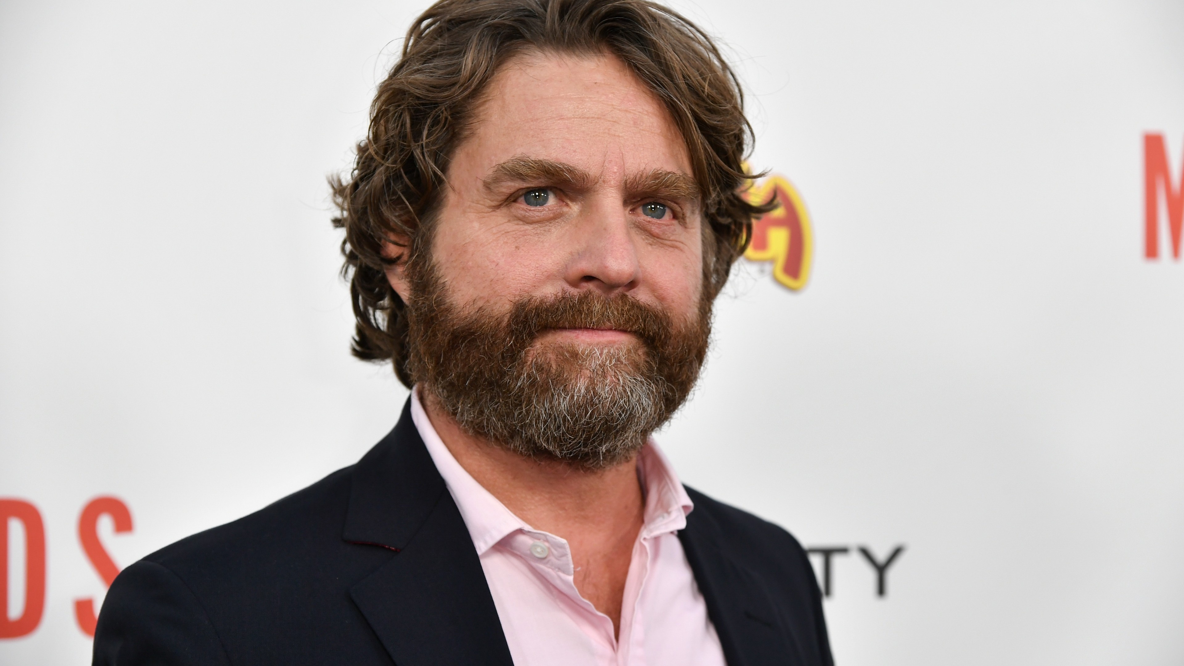 Zach Galifianakis, Celebrity photo, Celebrities, 14086, 3840x2160 4K Desktop