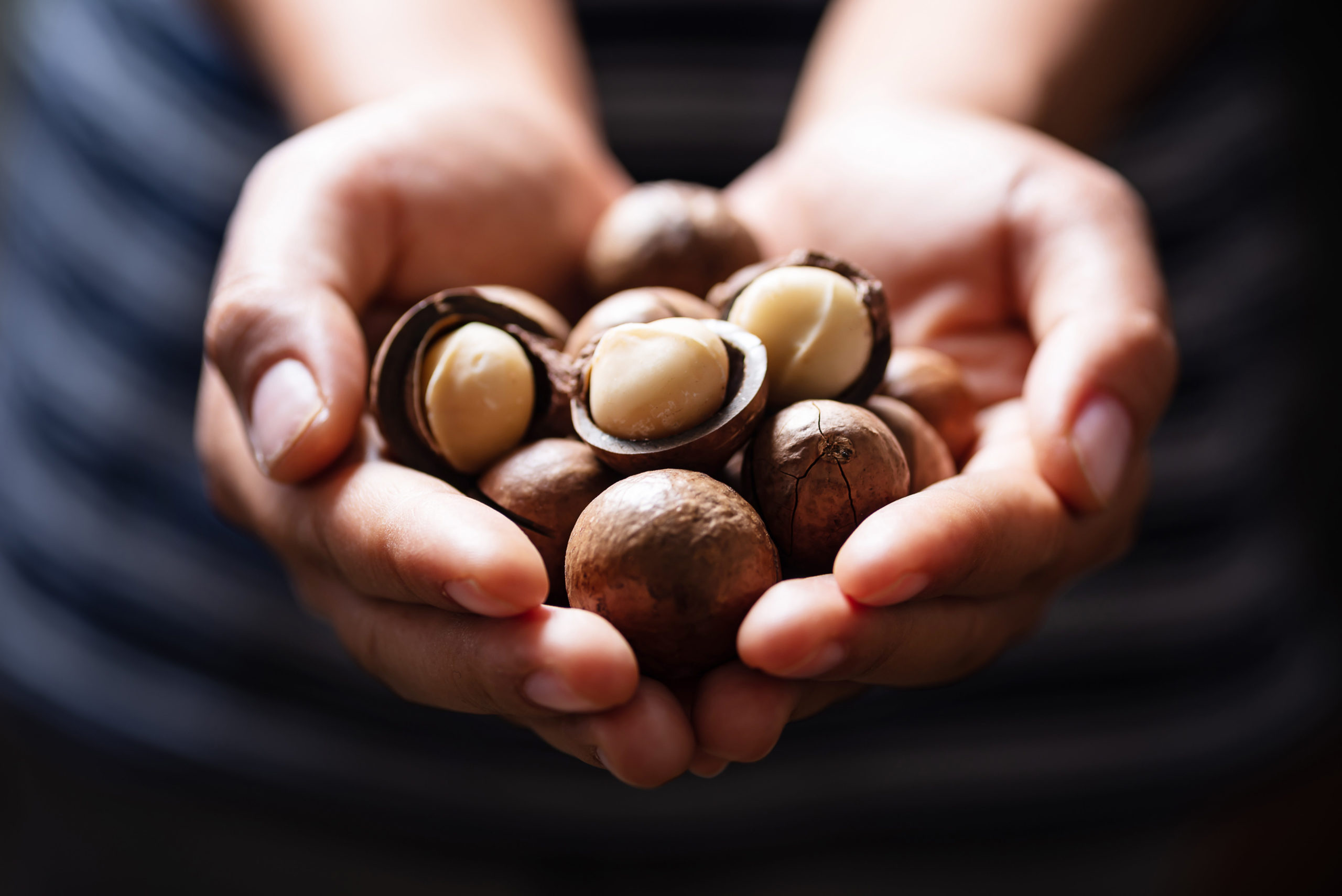 Macadamia sales, Growth opportunities, Booming crops, Market insights, 2560x1710 HD Desktop