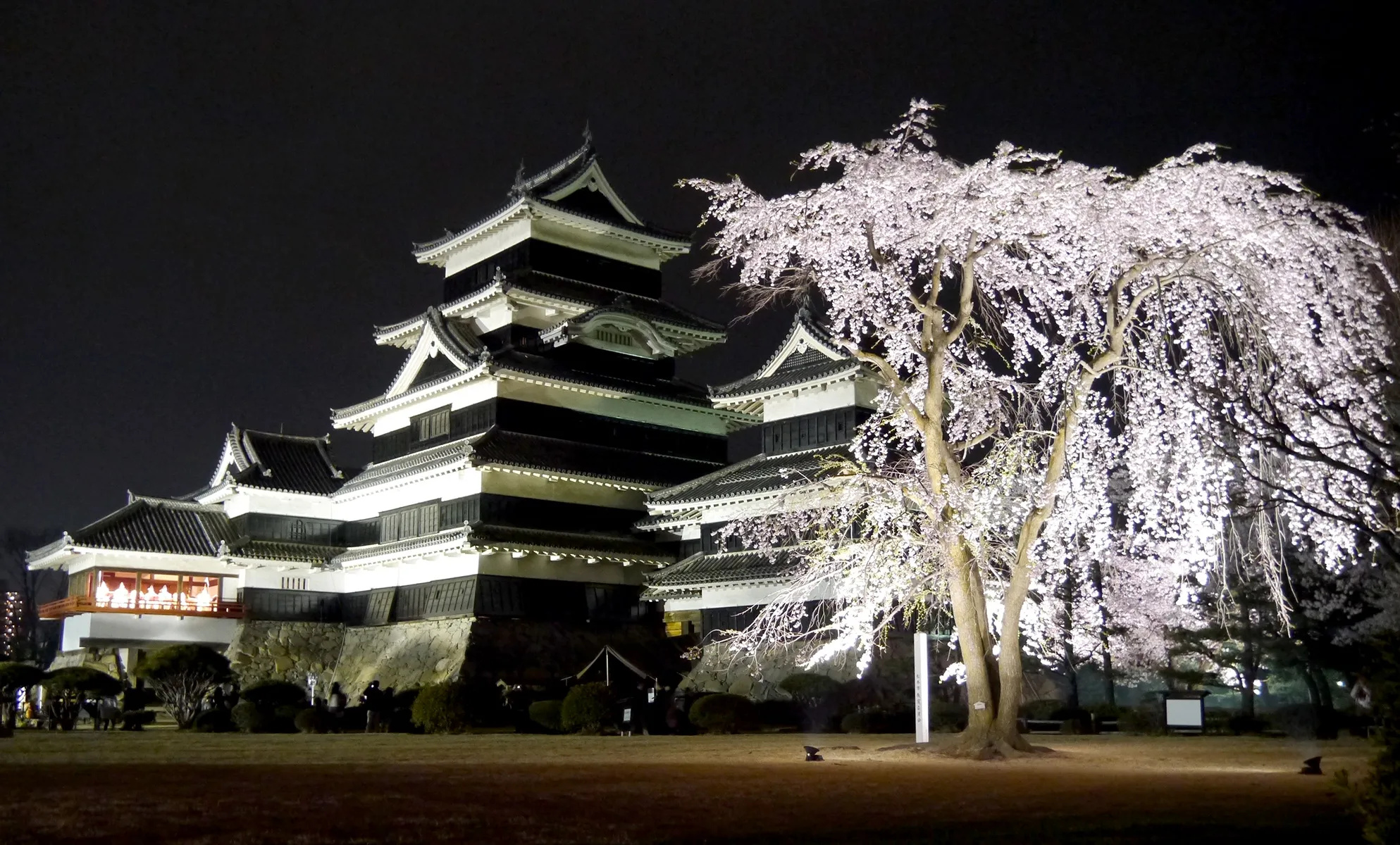 Cherry blossoms in Matsumoto, Japan, Serene beauty, Captivating landscape, 1990x1200 HD Desktop