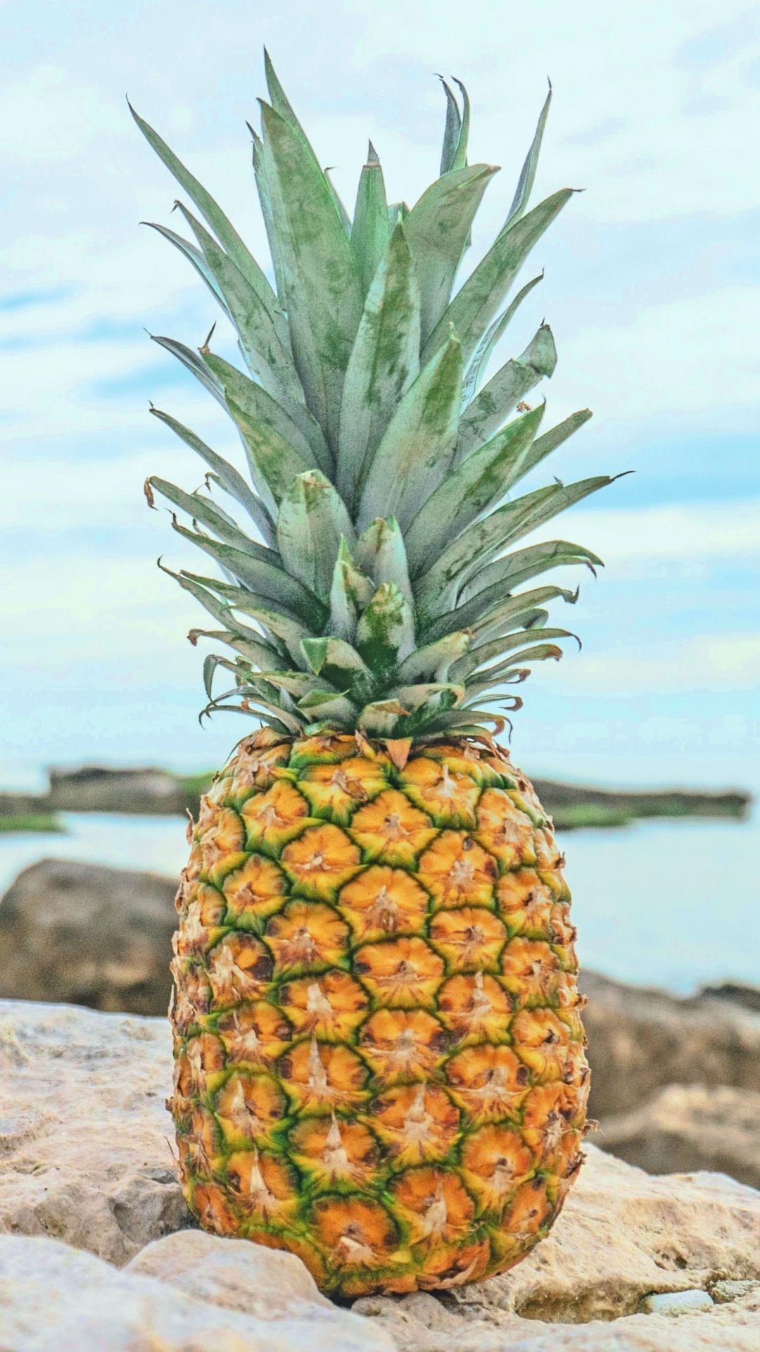 Top 20 photos, Pineapple wallpapers, Fresh, Tropical, 1080x1920 Full HD Phone