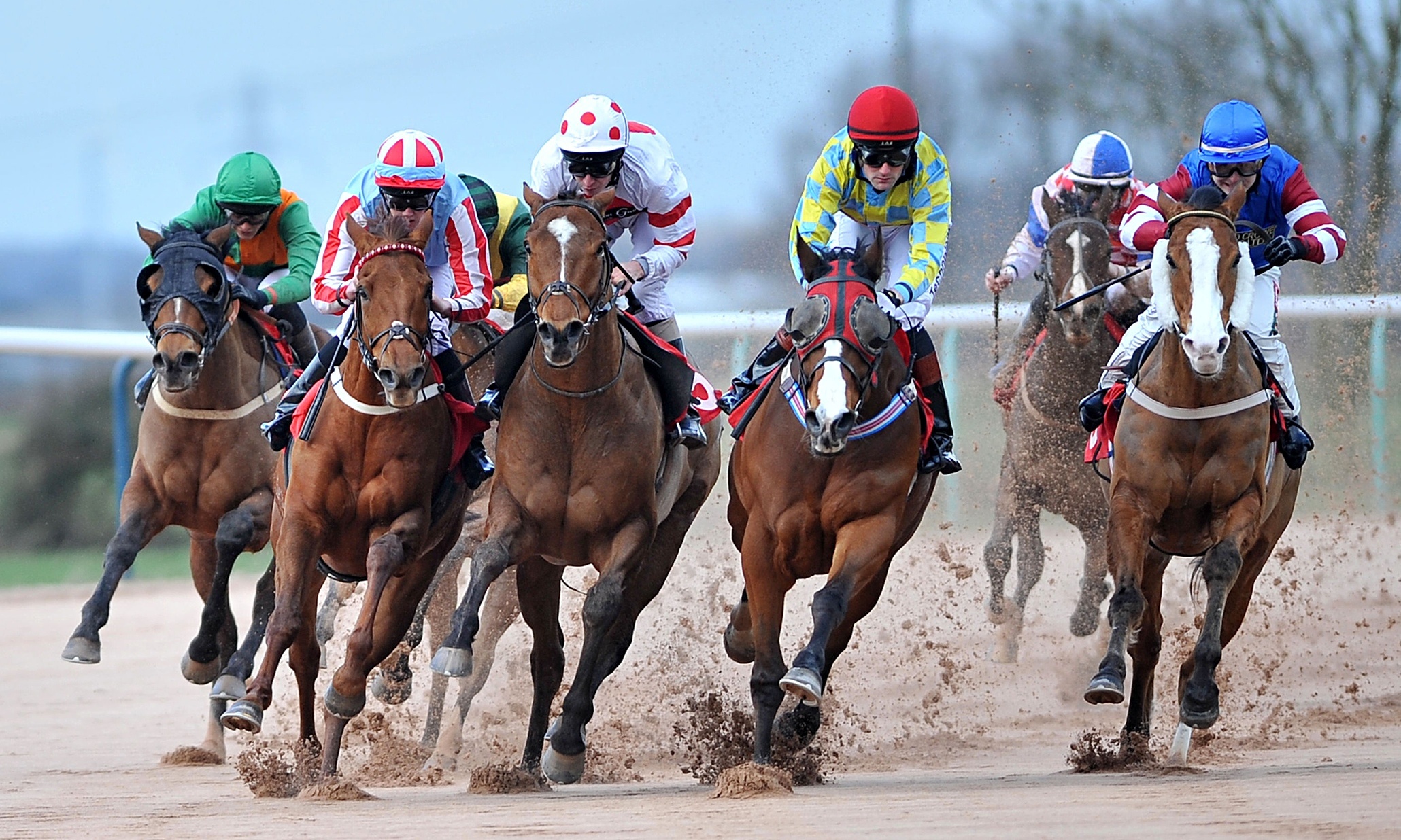 Horse racing wallpapers, Sports HQ, 2060x1240 HD Desktop