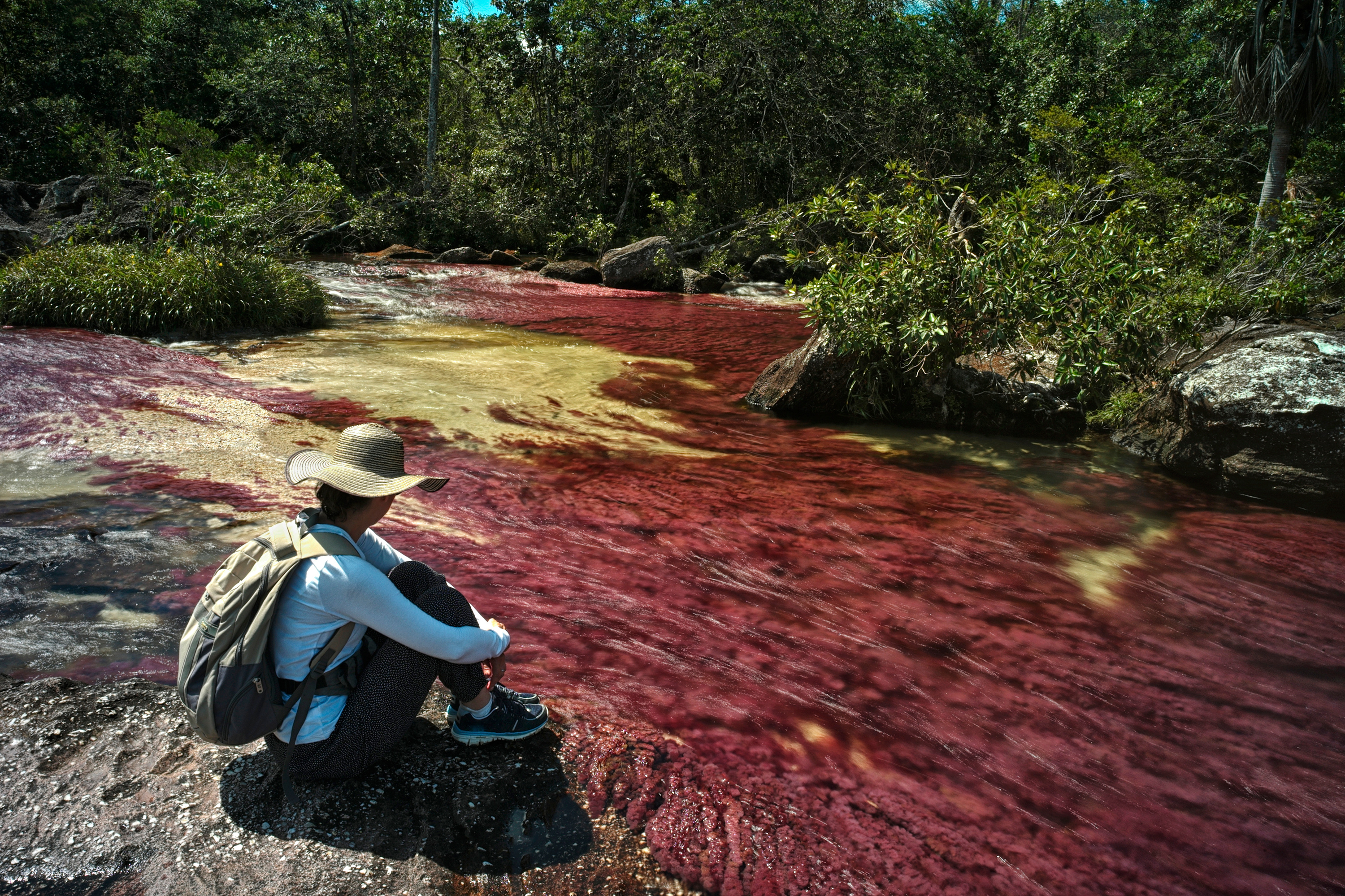 Serrania de la Macarena, Cao Cristales, Liquid rainbow, 3000x2000 HD Desktop