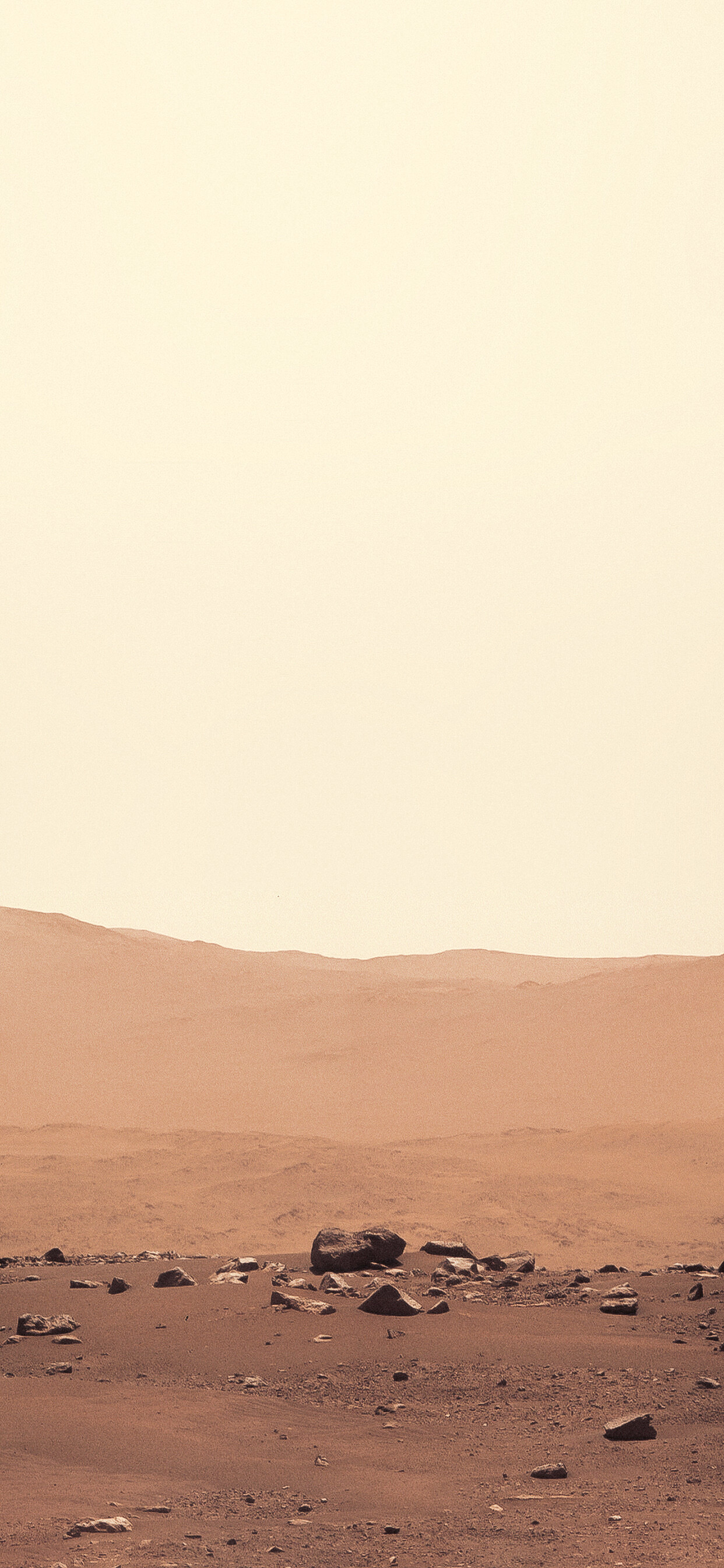 Mars, Perseverance mission, Mars rover wallpapers, Mars exploration, 1250x2690 HD Phone