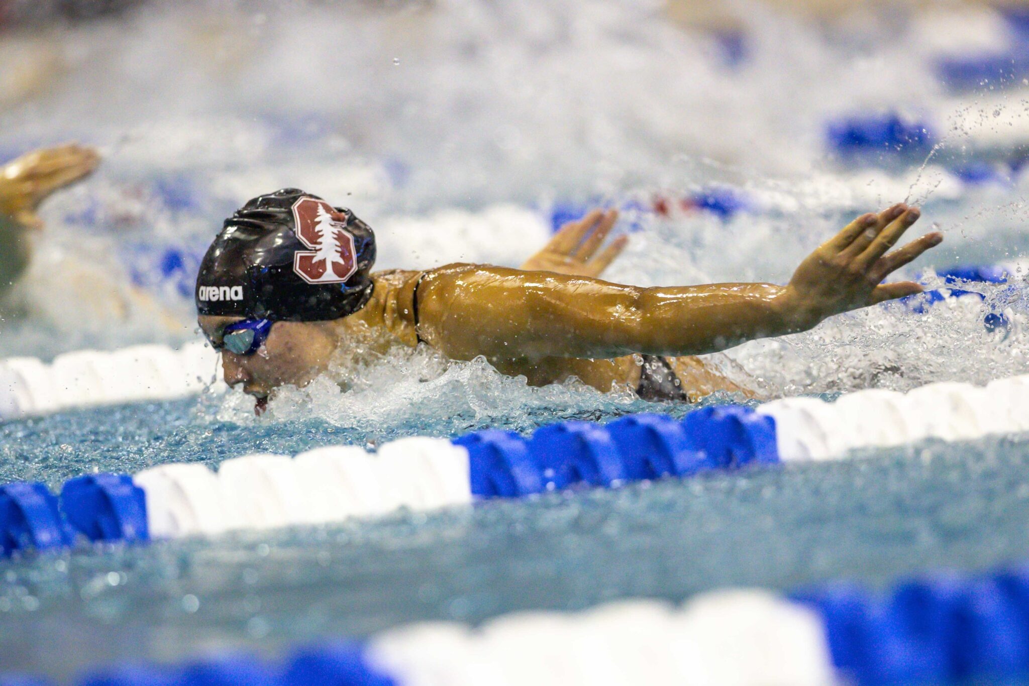 Torri Huske, Bio, SwimSwam, Sports, 2050x1370 HD Desktop