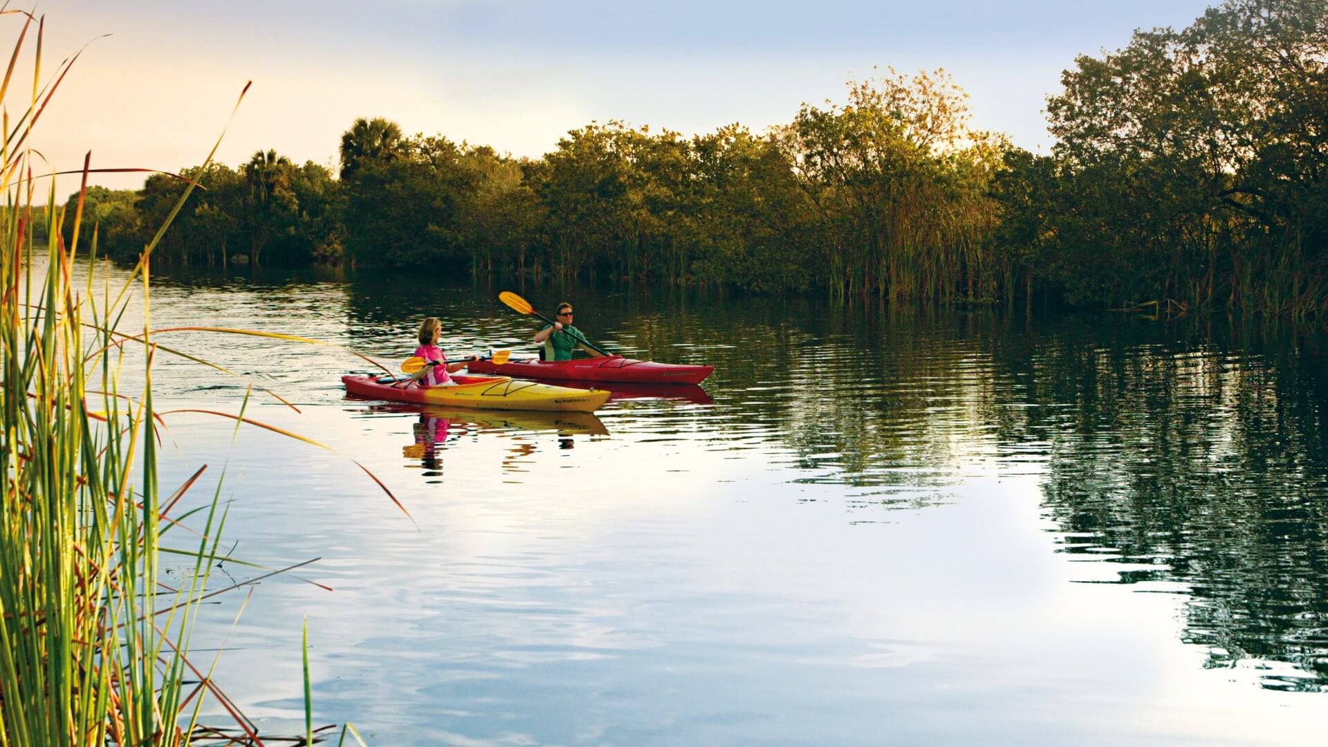 Everglades National Park, RV travel, Camper exploration, Adventure, 1920x1080 Full HD Desktop