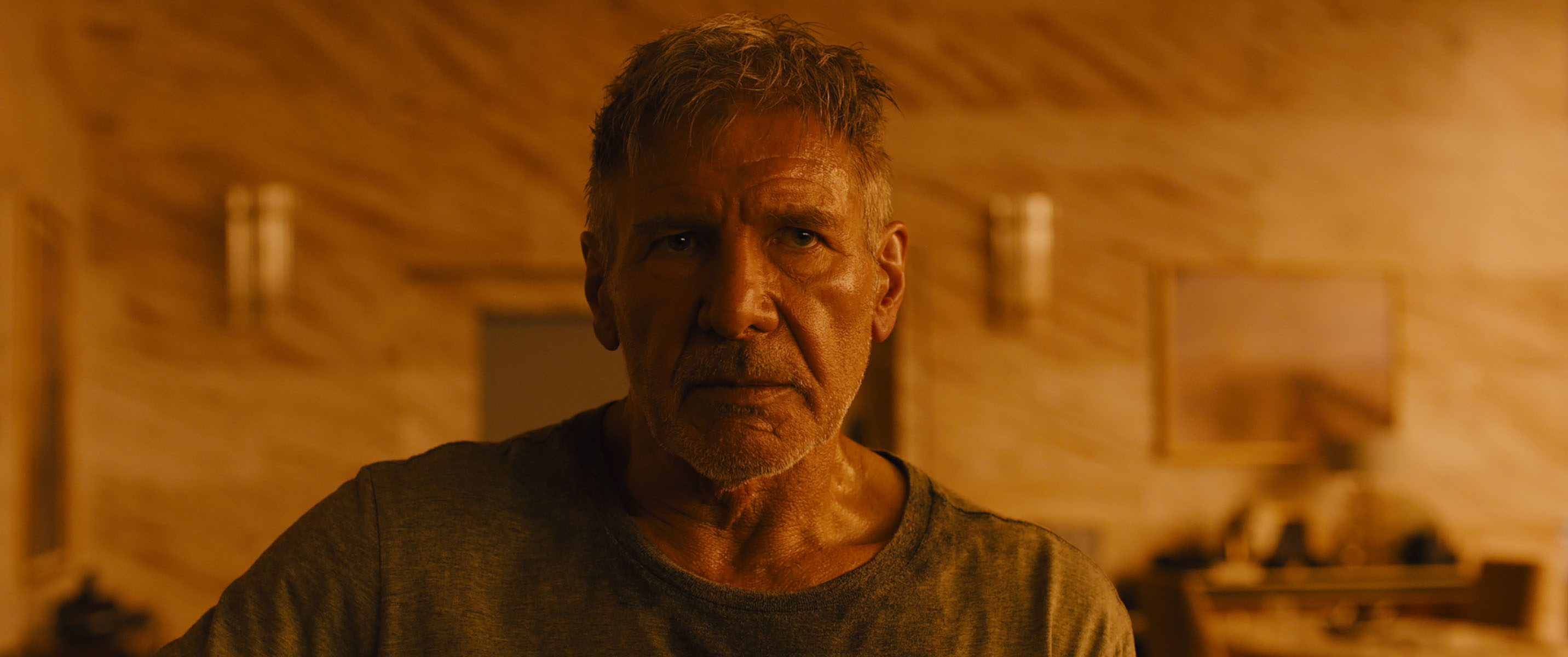 Blade Runner 2049, Harrison Ford, Rick Deckard, 2870x1200 Dual Screen Desktop