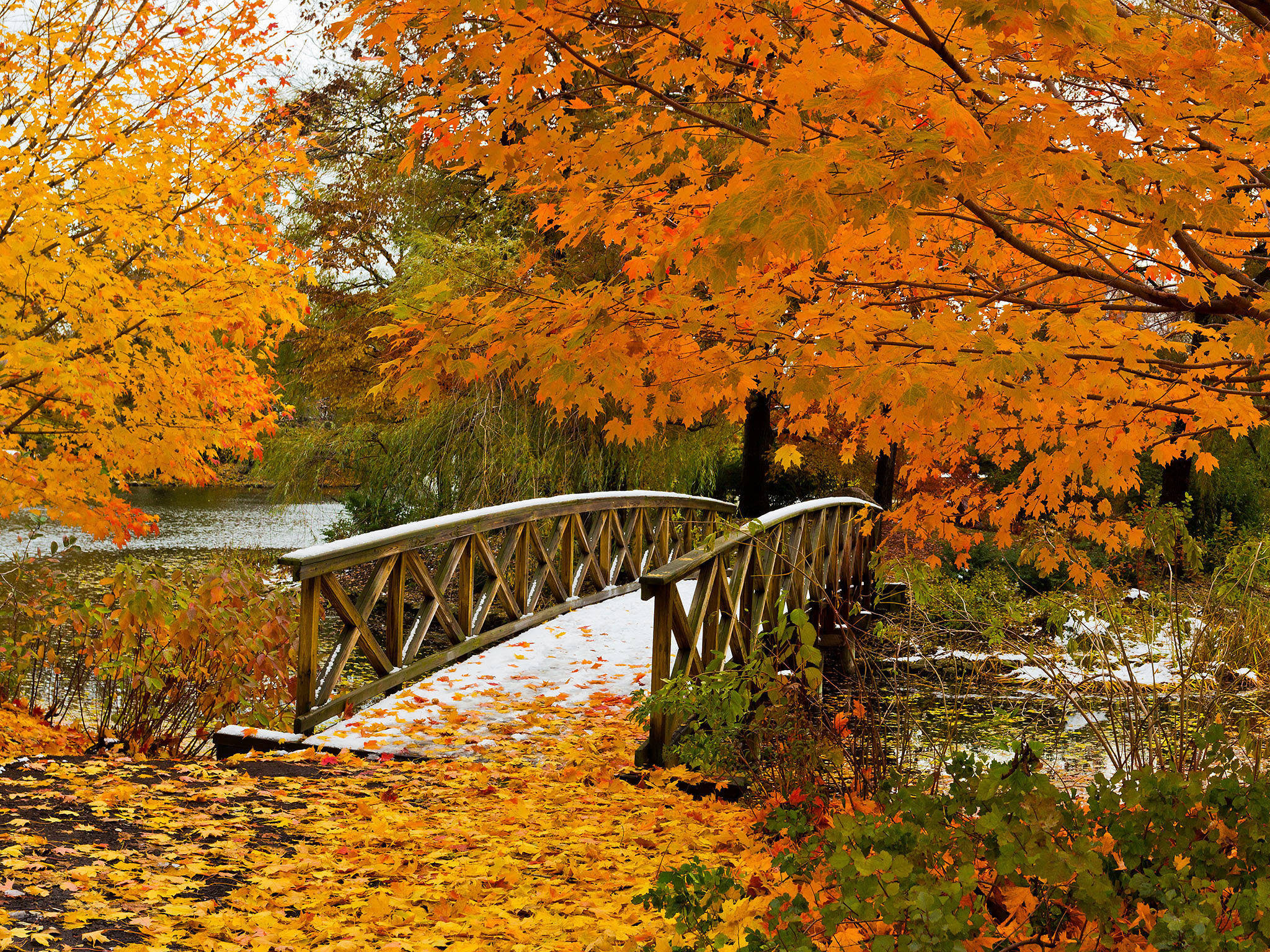 Bridge, Fall Wallpaper, 2050x1540 HD Desktop