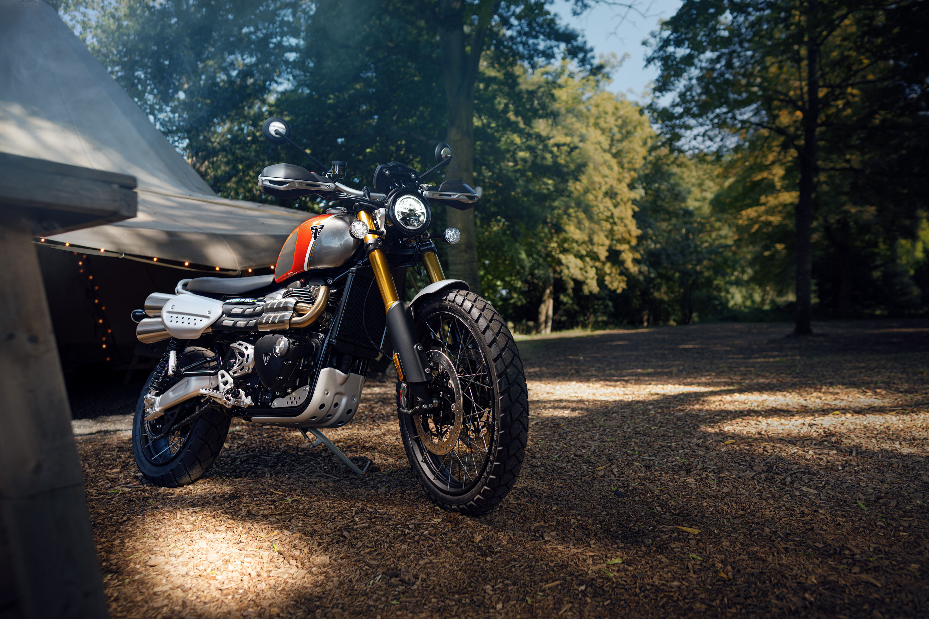 Triumph Scrambler 1200, Auto, Special edition 2022, Gold line, 3000x2000 HD Desktop