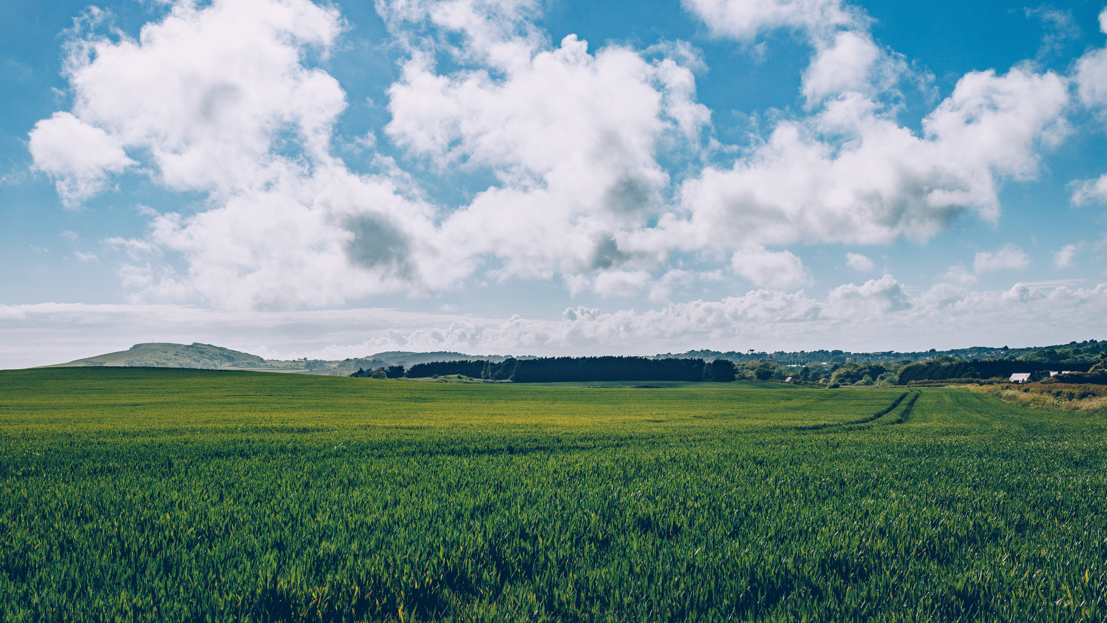 Green grass field, Blue sky, Daytime bliss, Free image download, 3840x2160 4K Desktop