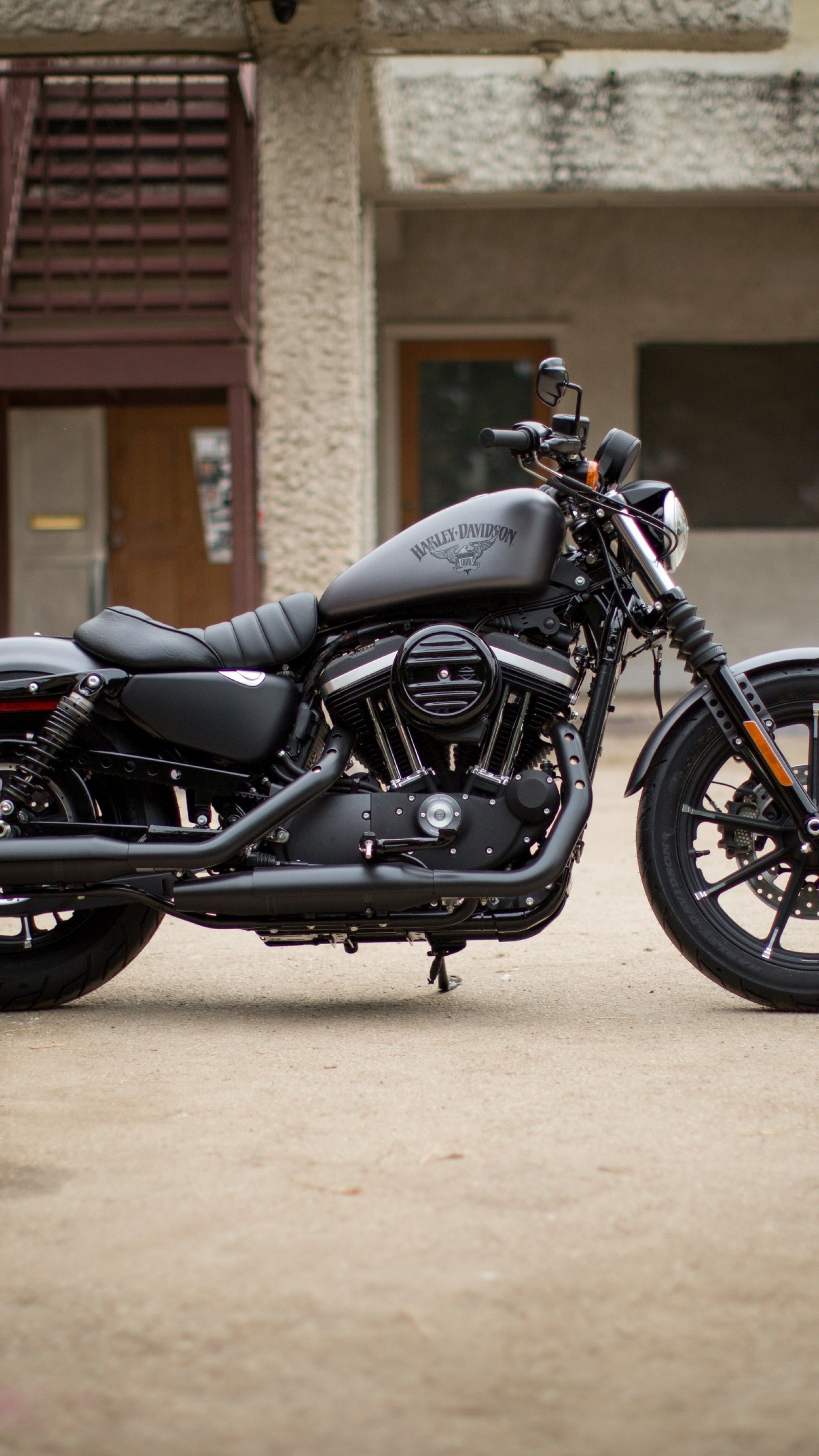 Harley-Davidson Iron 883, HD iPhone wallpapers, Motorcycle aesthetic, Iconic brand, 2160x3840 4K Phone
