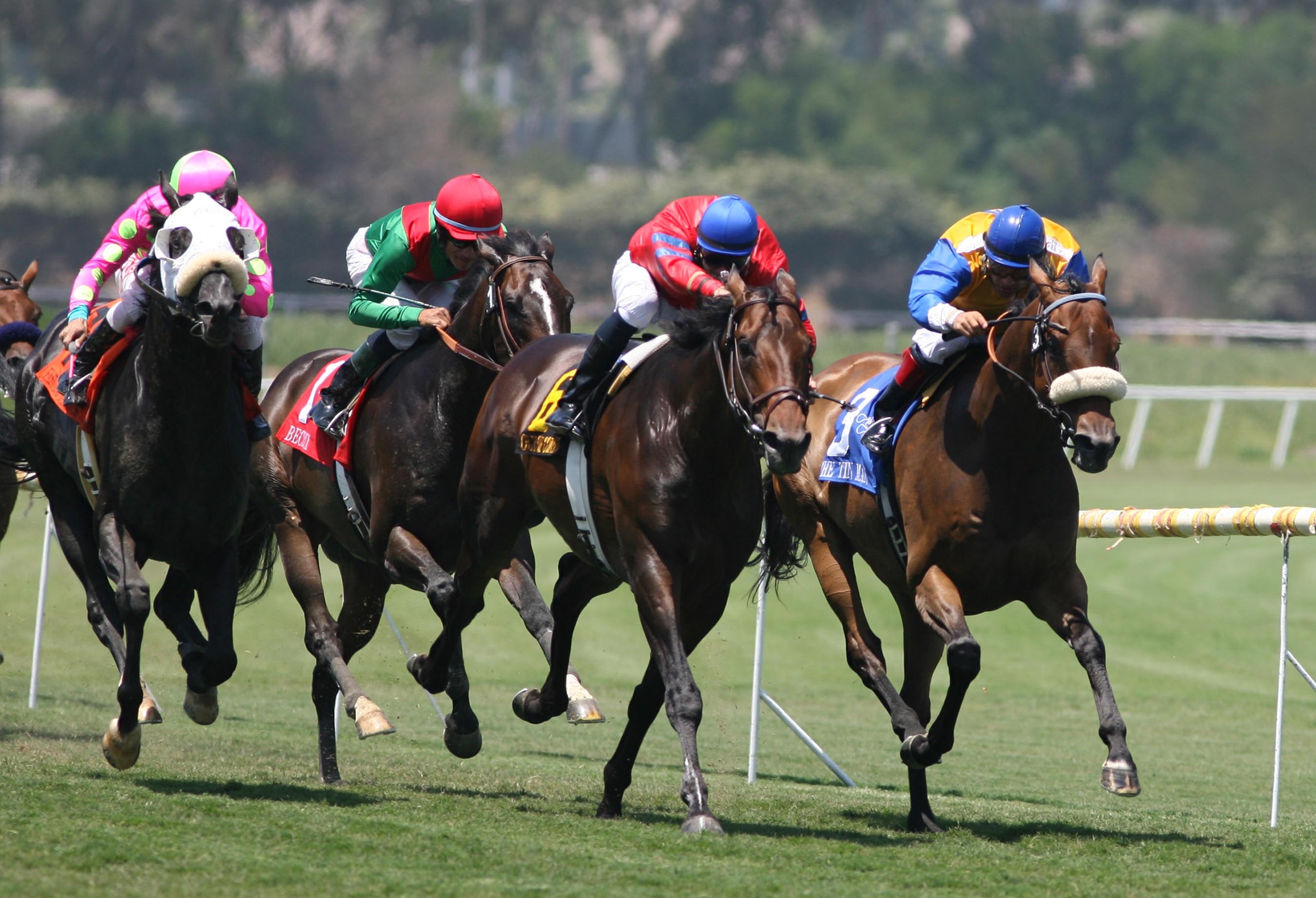 Horse Racing, Thrilling races, Horse racing wallpapers, Racing excitement, 2700x1850 HD Desktop