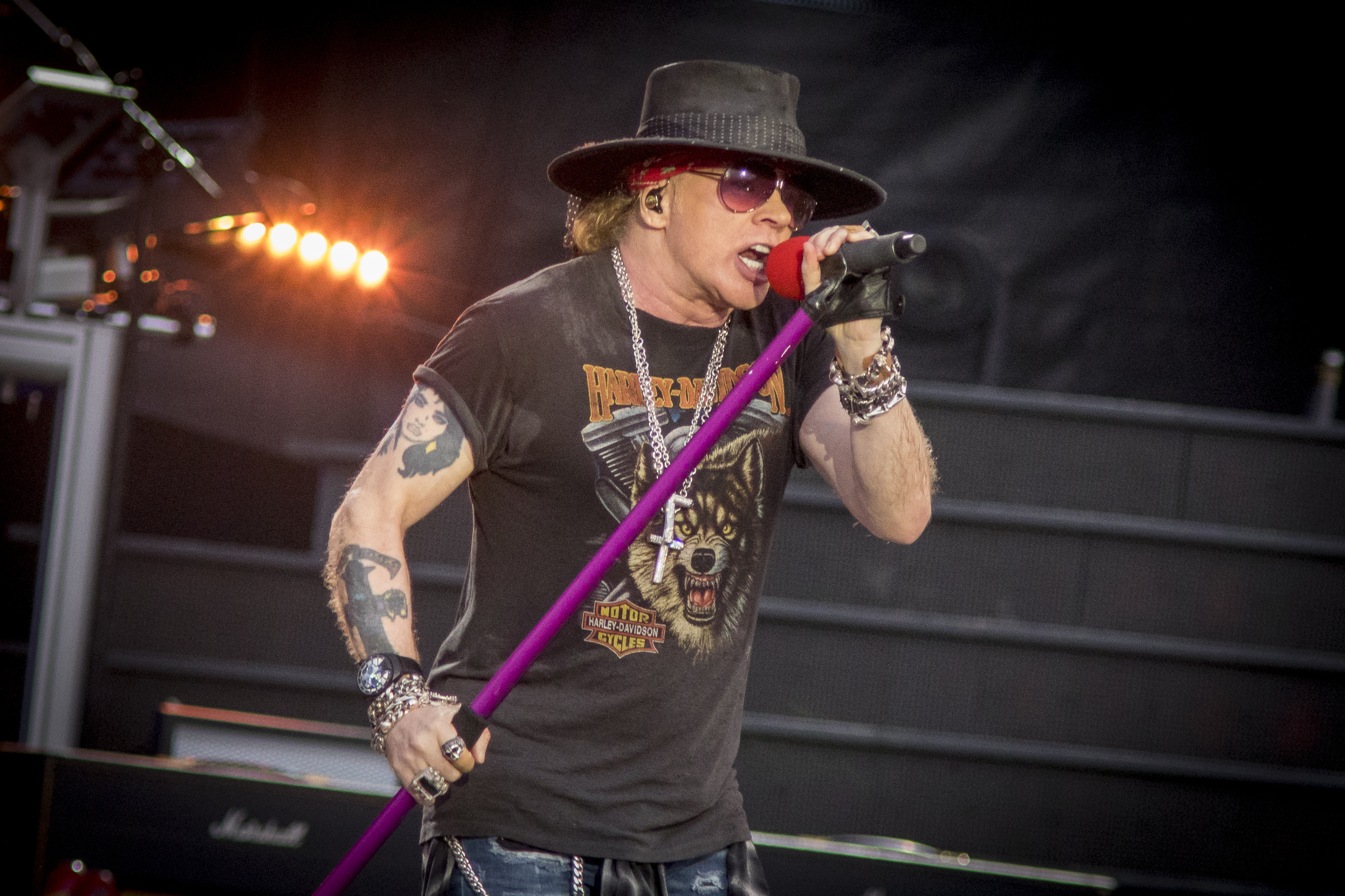 Axl Rose Illness, Guns N Roses Performance, Cut Short, 3000x2000 HD Desktop