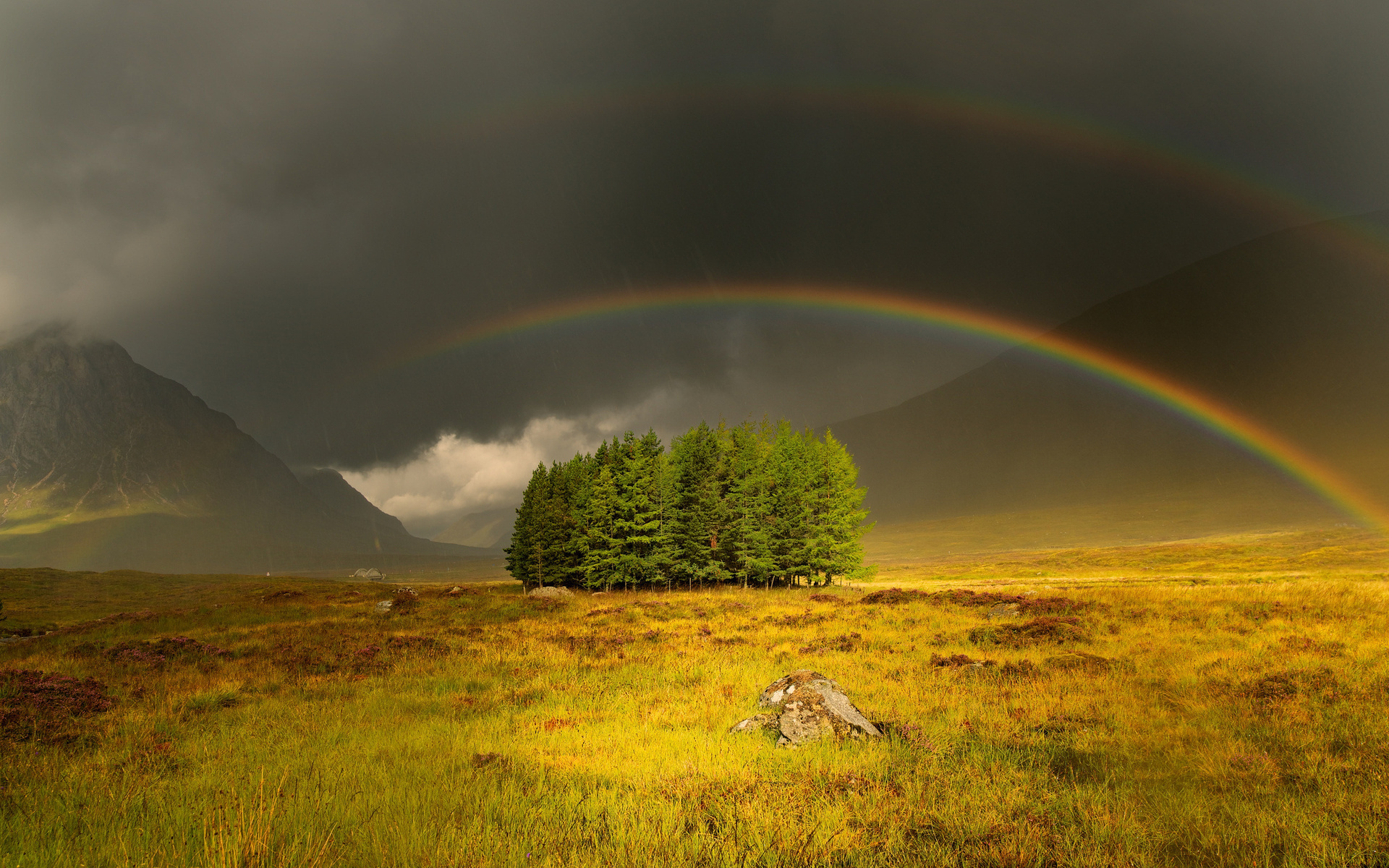 Vibrant double rainbow, Isolated pine grove, Sunlit moorland landscape, HD Desktop wallpaper