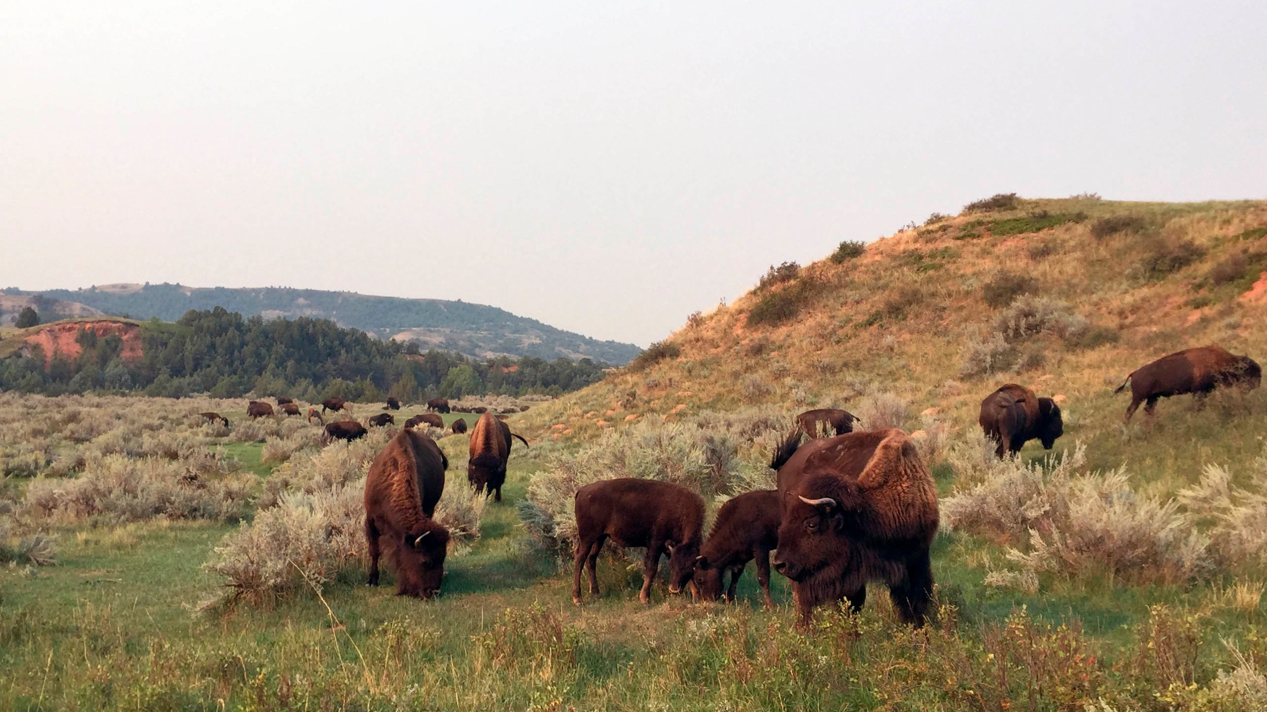 Theodore Roosevelt National Park, Wallpapers, Ryan Cunningham, 2560x1440 HD Desktop