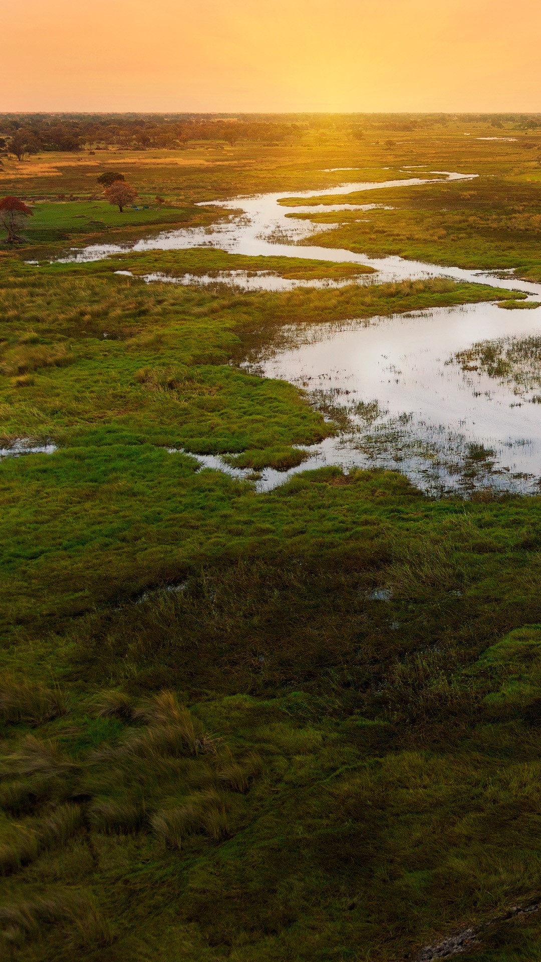 Sunset on Okavango Delta, Chobe National Park, African landscape, Windows spotlight, 1080x1920 Full HD Phone