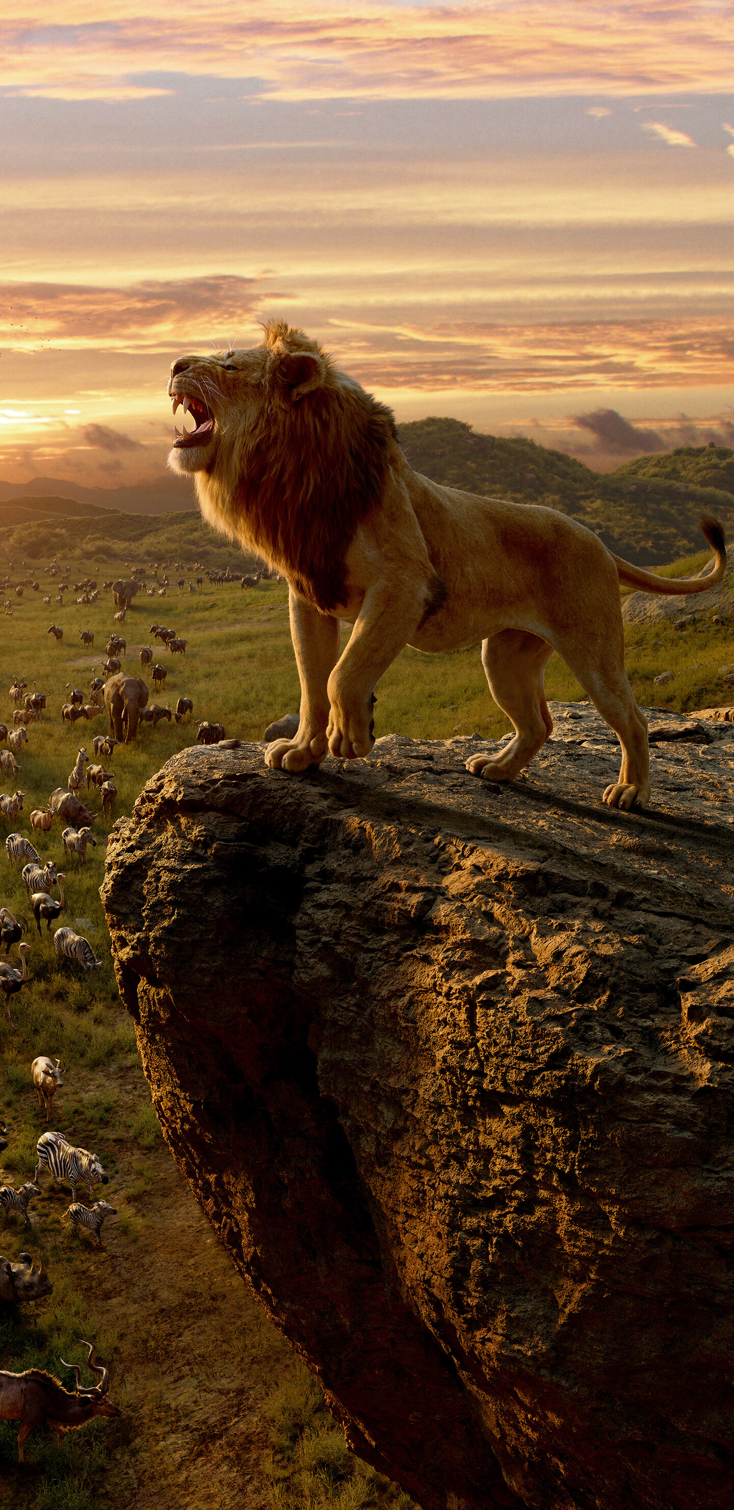 The Lion King, Movie wallpapers, Samsung Galaxy wallpapers, Background photos, 1440x2960 HD Phone