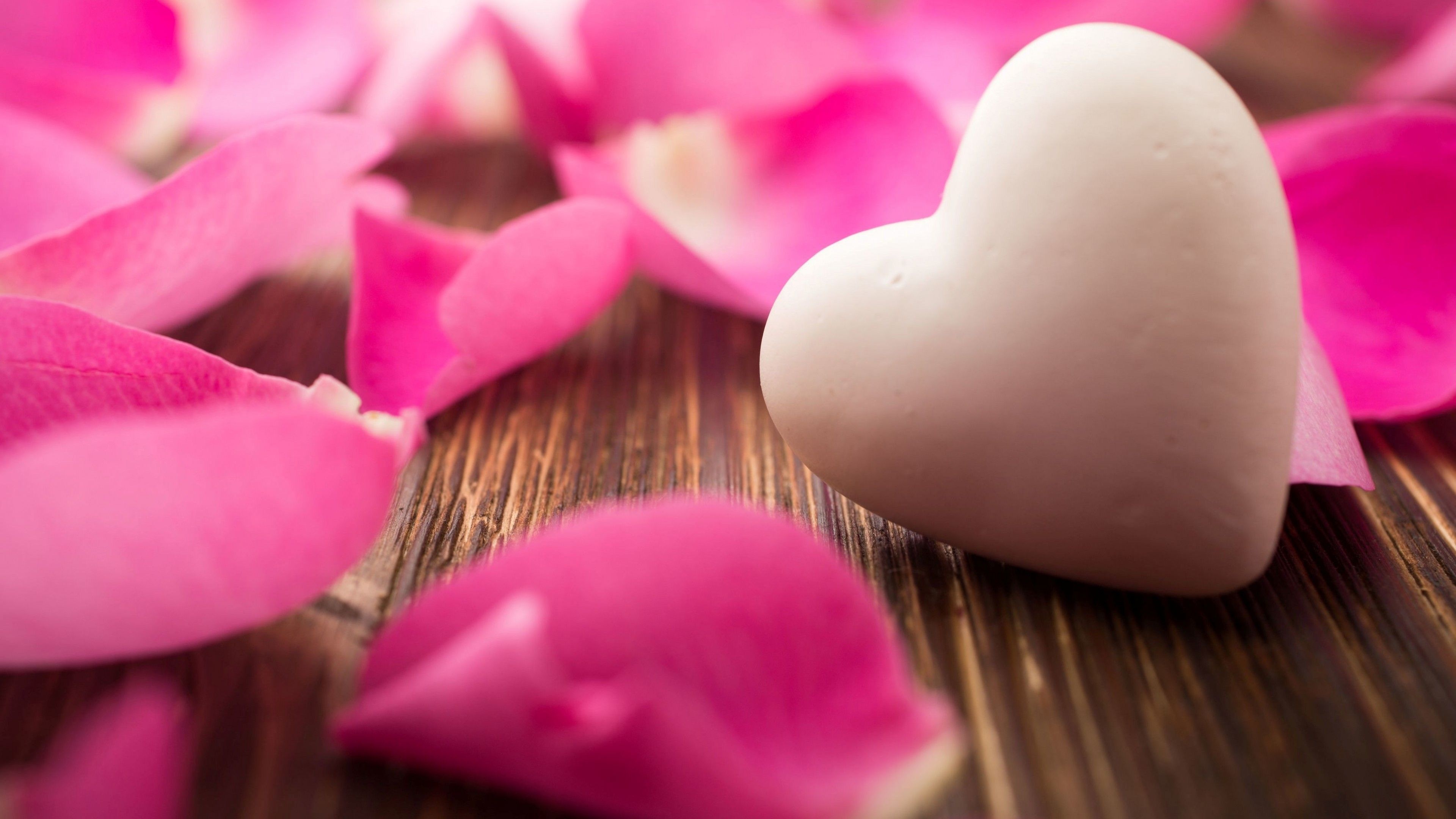 Petals, Hearts Wallpaper, 3840x2160 4K Desktop